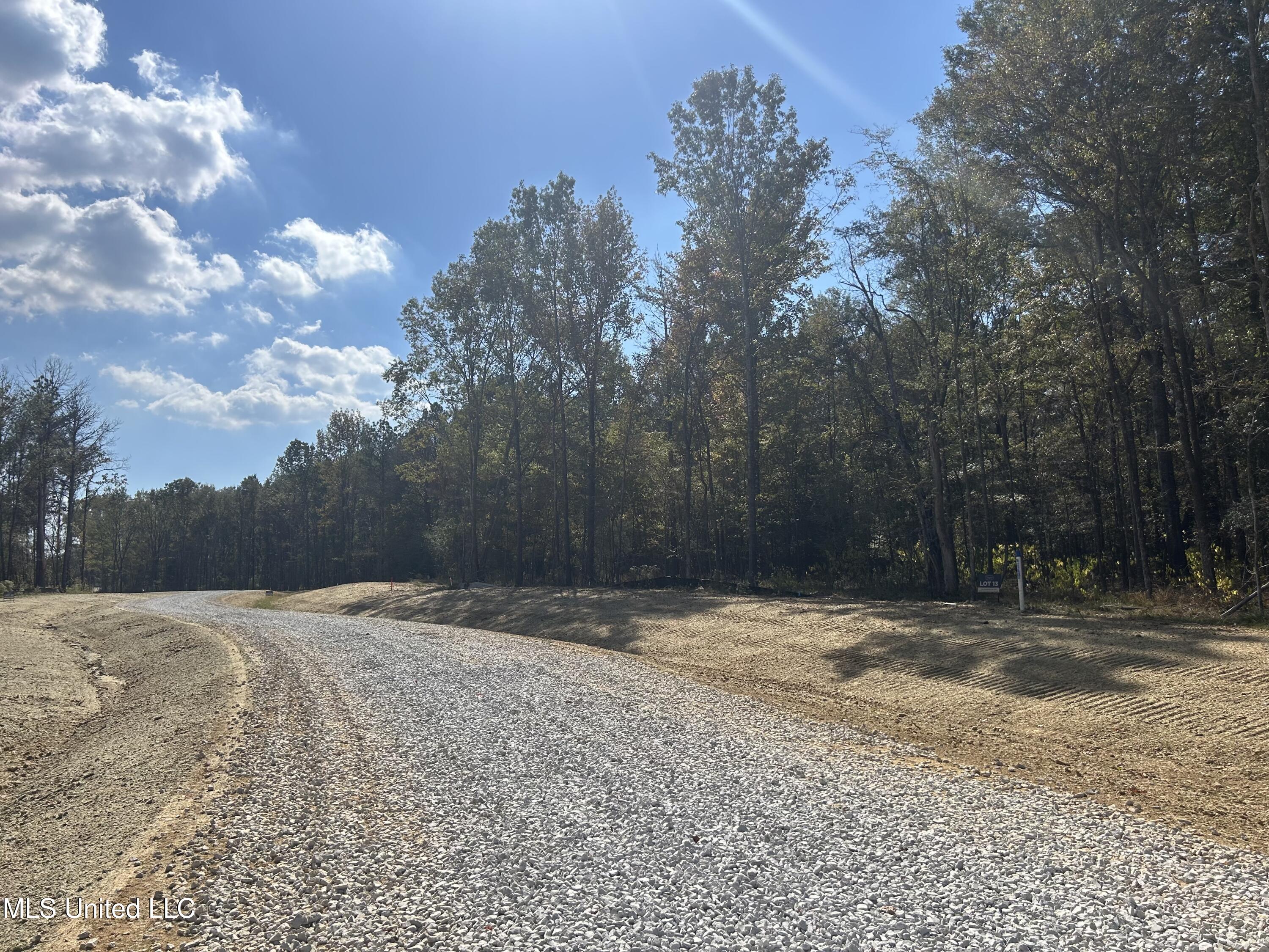 Stout Meadows Lane, Madison, Mississippi image 3