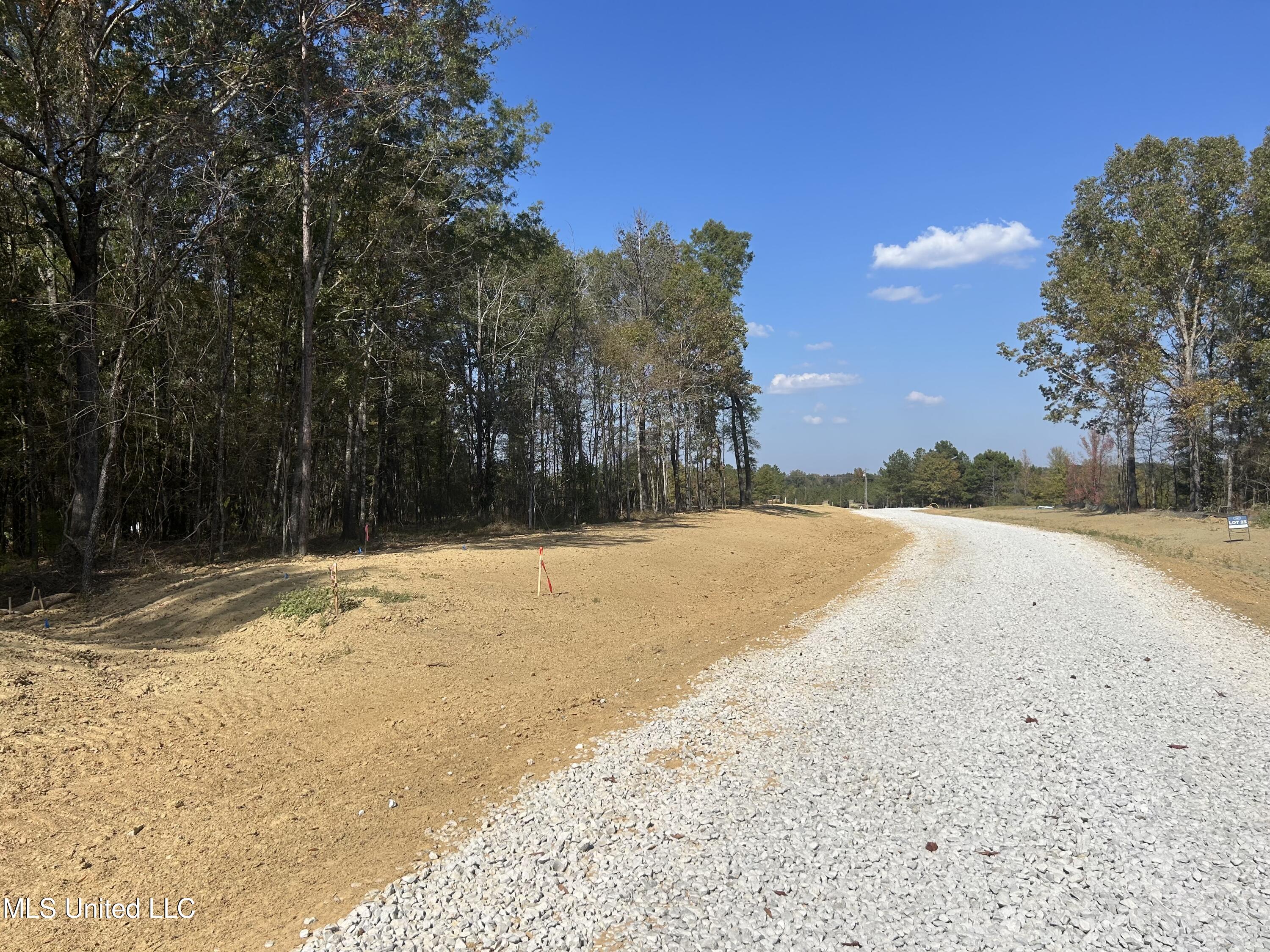 Stout Meadows Lane, Madison, Mississippi image 5