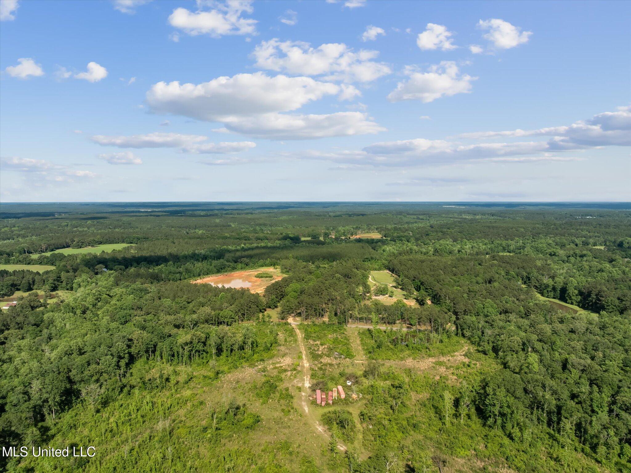 266 N Wpa Road, Moselle, Mississippi image 9