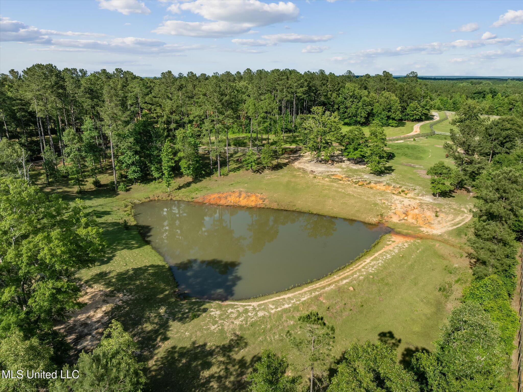 266 N Wpa Road, Moselle, Mississippi image 3
