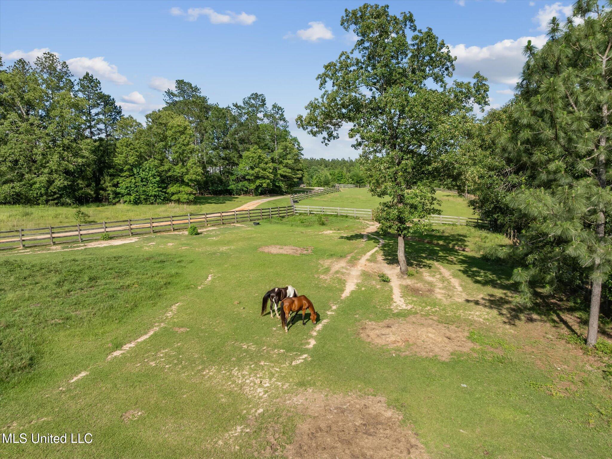266 N Wpa Road, Moselle, Mississippi image 6