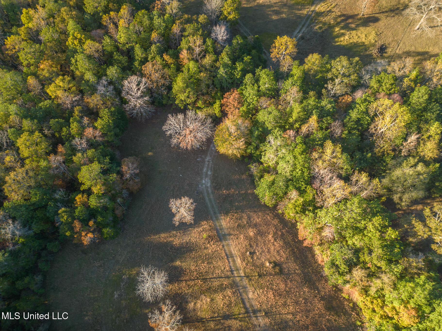 1179b Ridge Road, Perkinston, Mississippi image 16