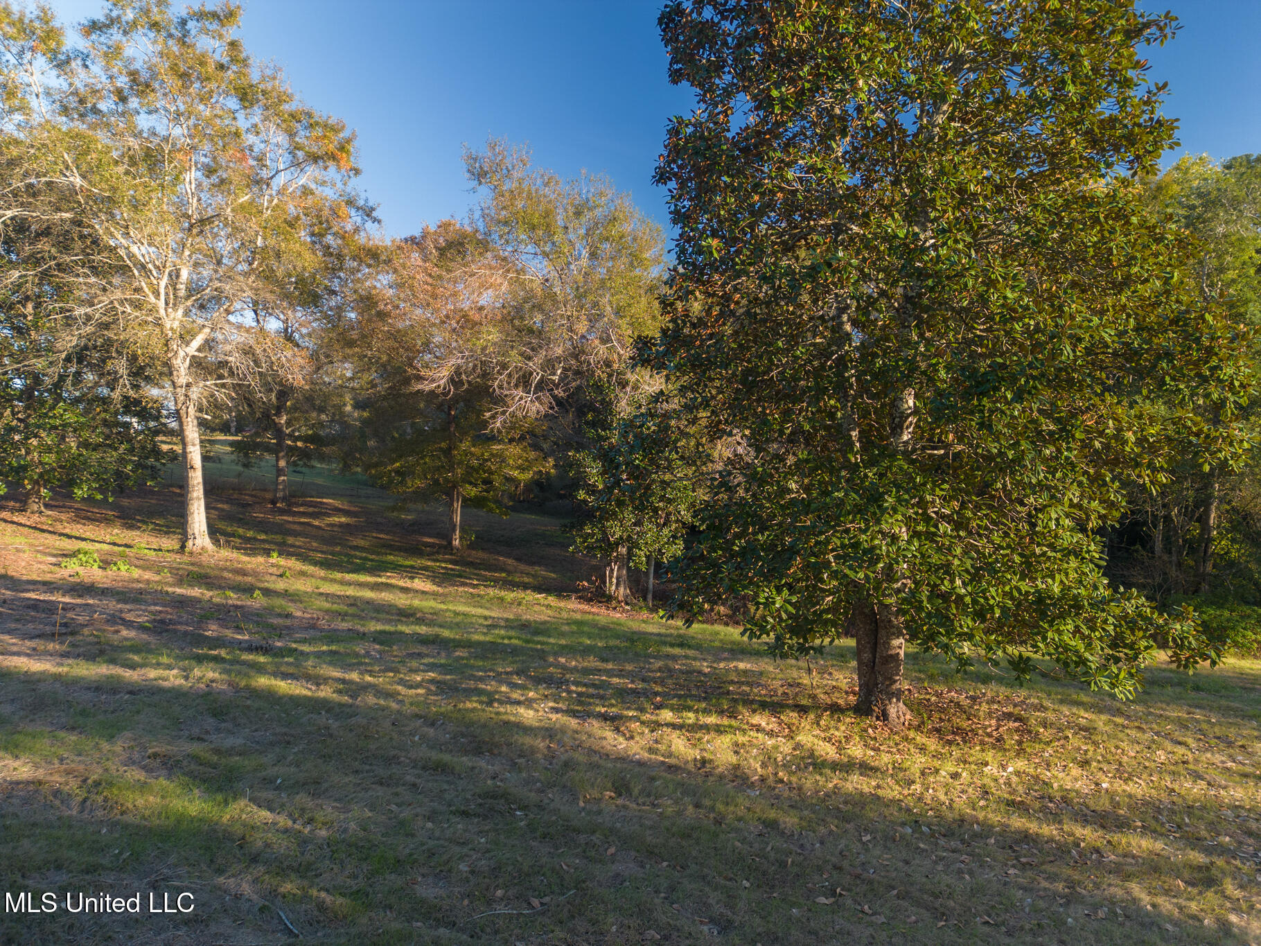 1179b Ridge Road, Perkinston, Mississippi image 17