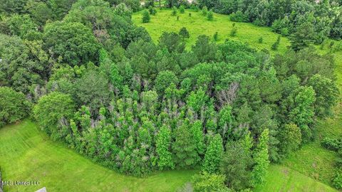 Vacant Land For Sale - Hwy 13<br/> Simpson County, Mendenhall, MS 39114