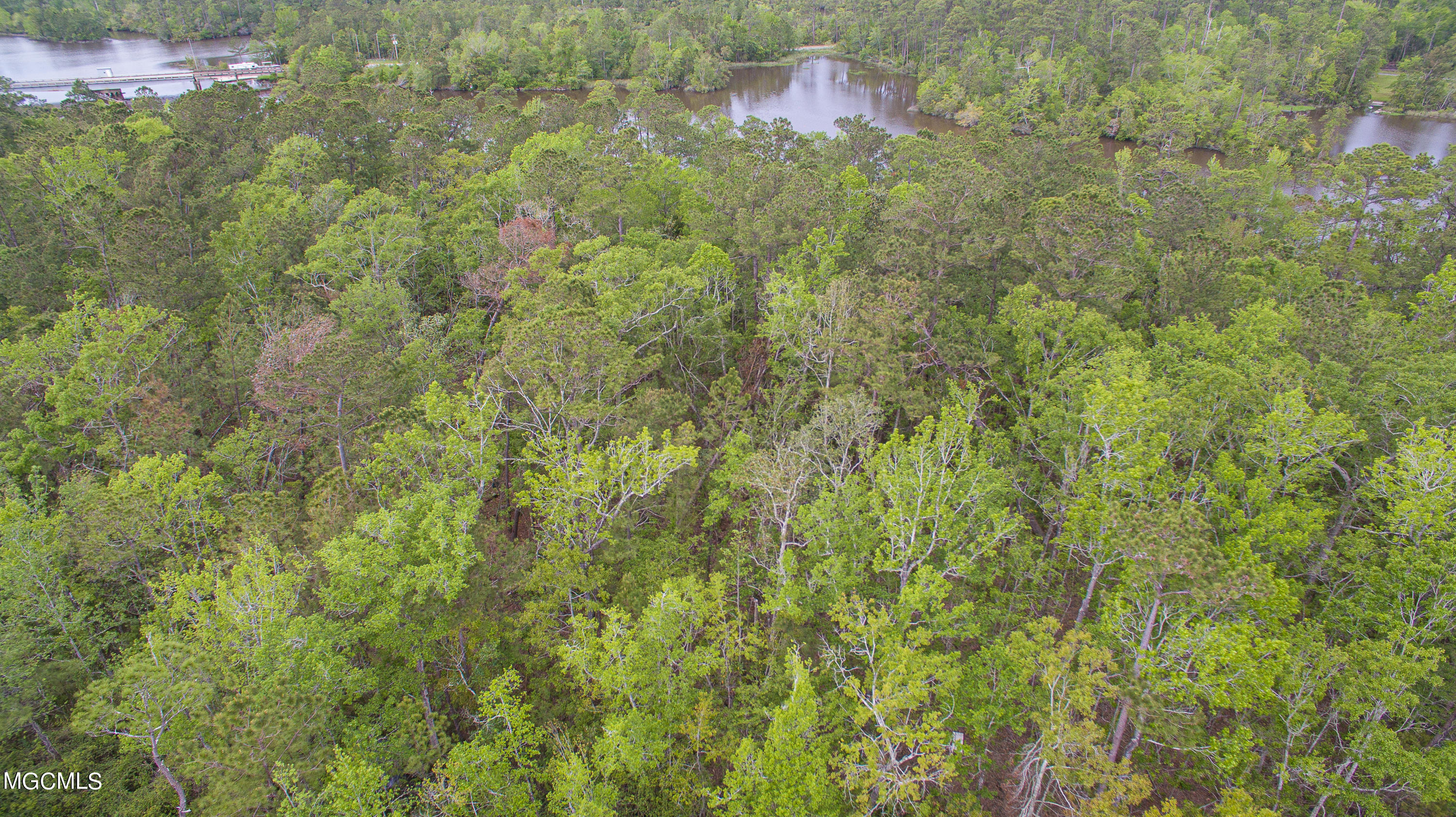 Rd 536, Biloxi, Mississippi image 4