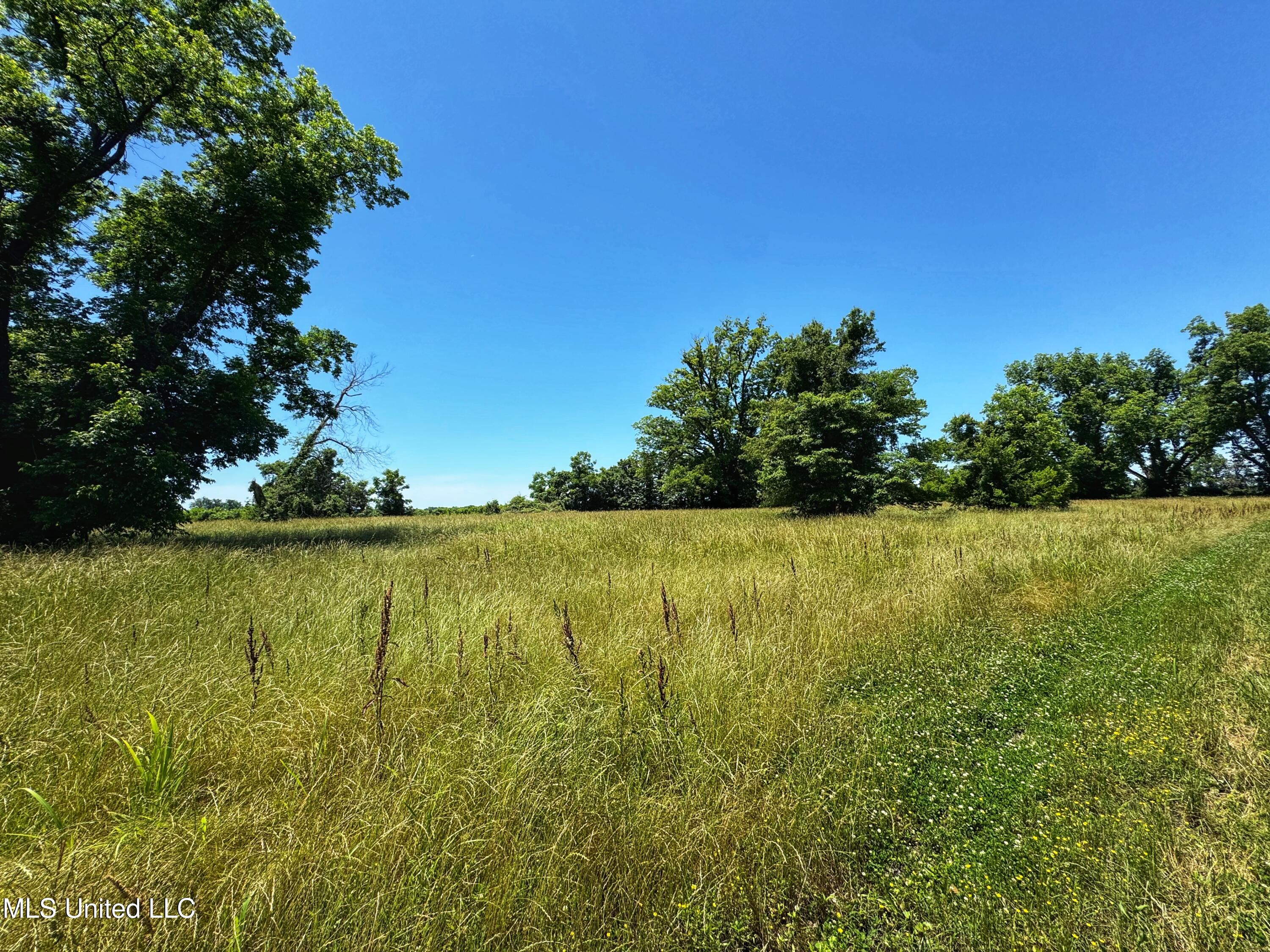 5228 Old Highway 49, Clarksdale, Mississippi image 21