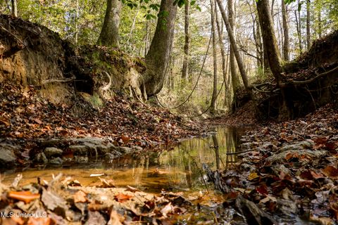 Vacant Land For Sale - Les Harwell Road<br/> Lauderdale County, Collinsville, MS 39325