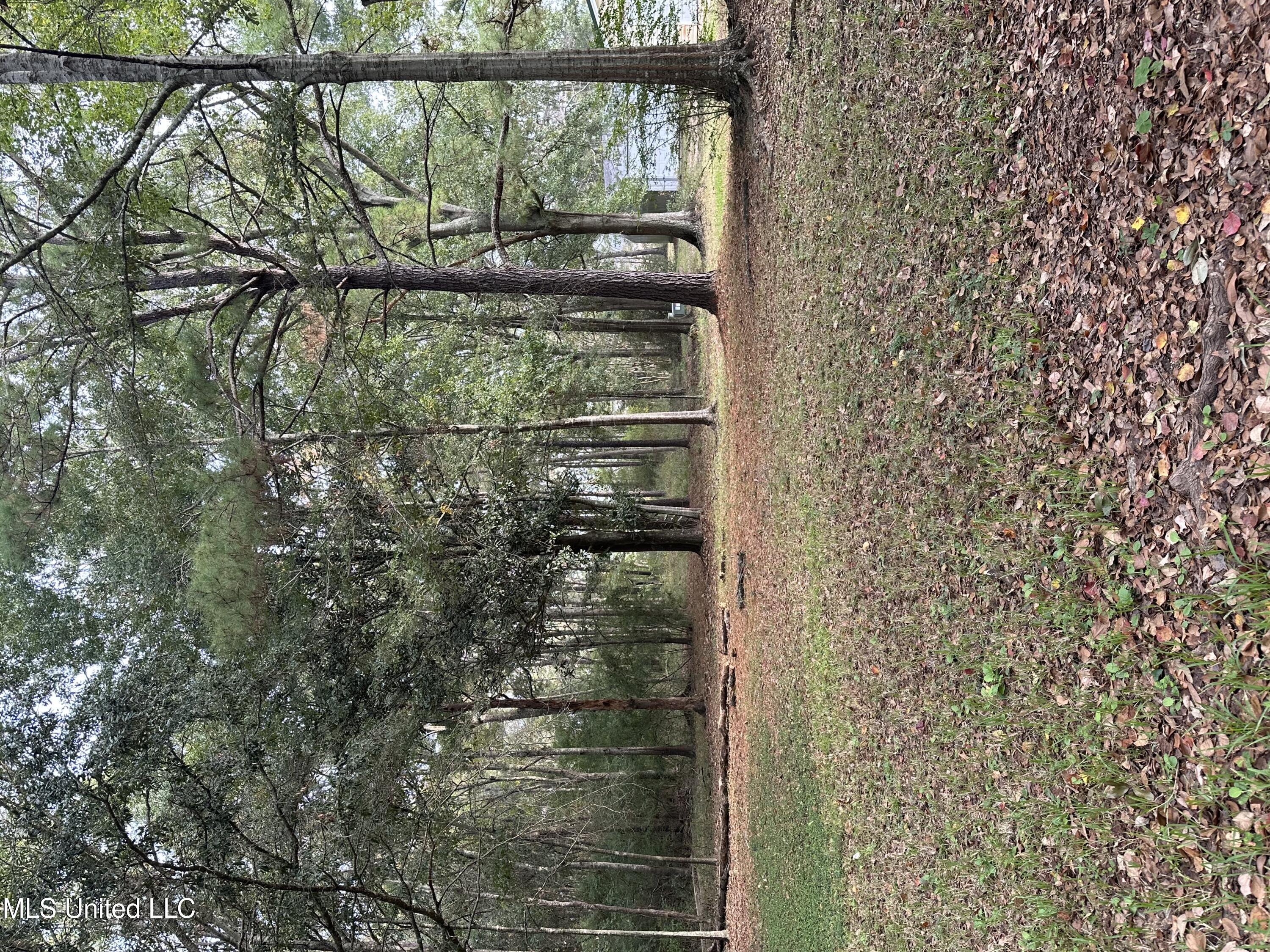 Sioux Bayou Drive, Gautier, Mississippi image 1