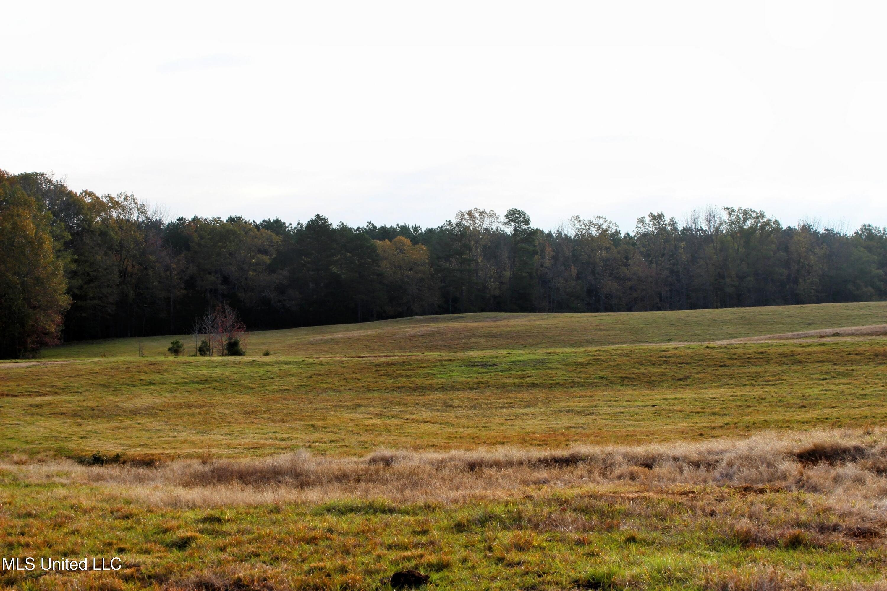 Tbd Cr 145, Bruce, Mississippi image 4