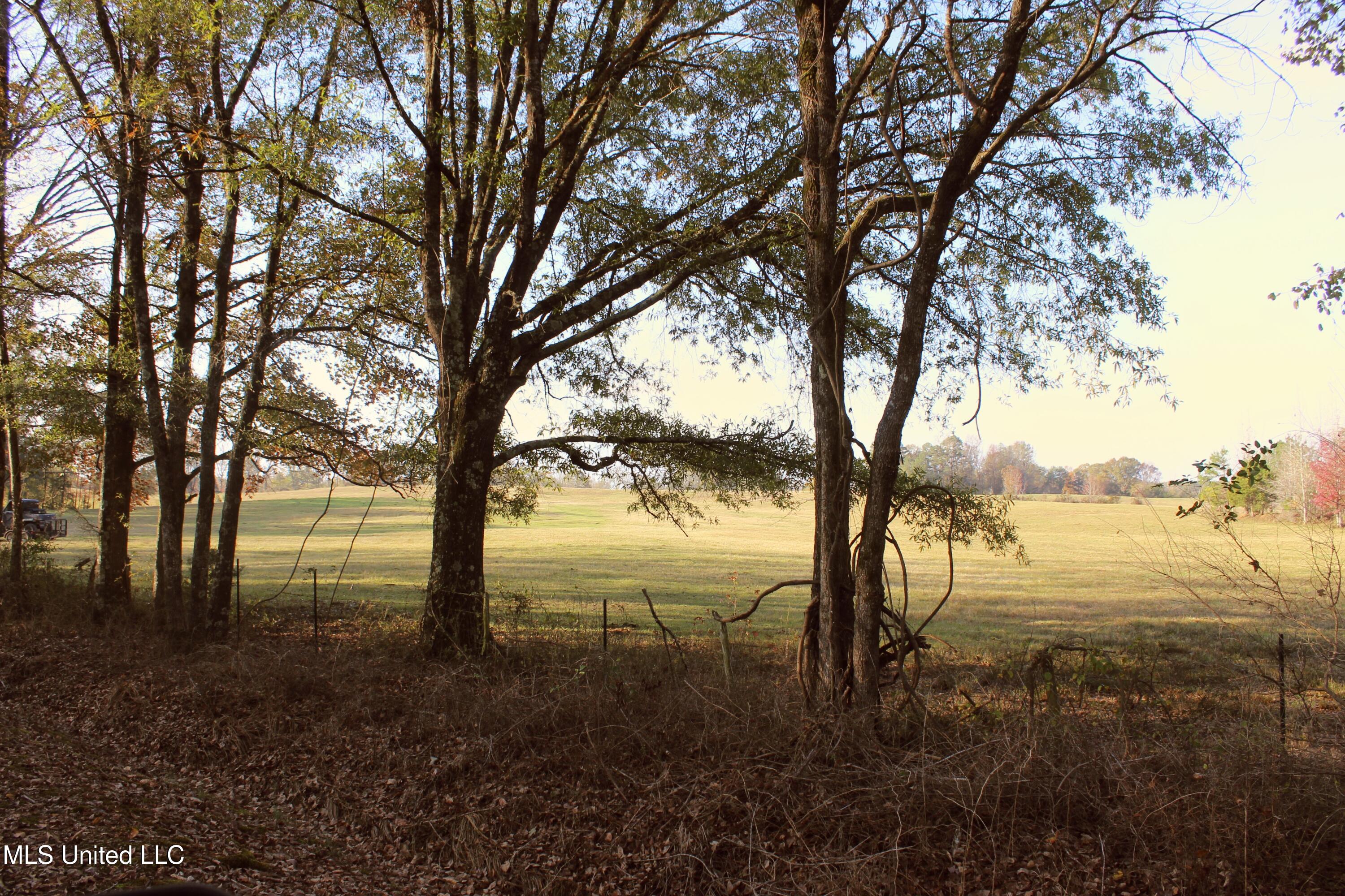 Tbd Cr 145, Bruce, Mississippi image 10