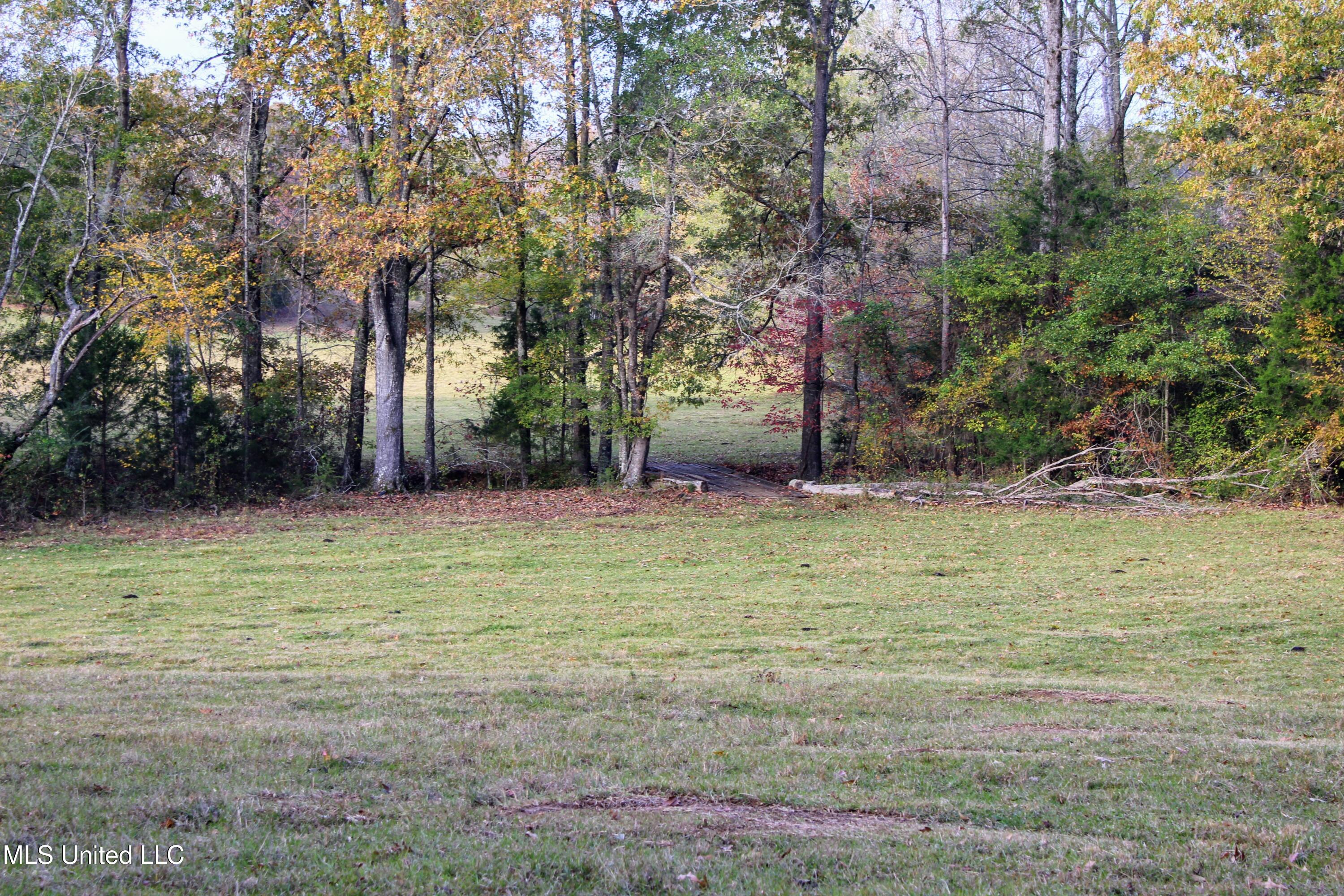 Tbd Cr 145, Bruce, Mississippi image 19