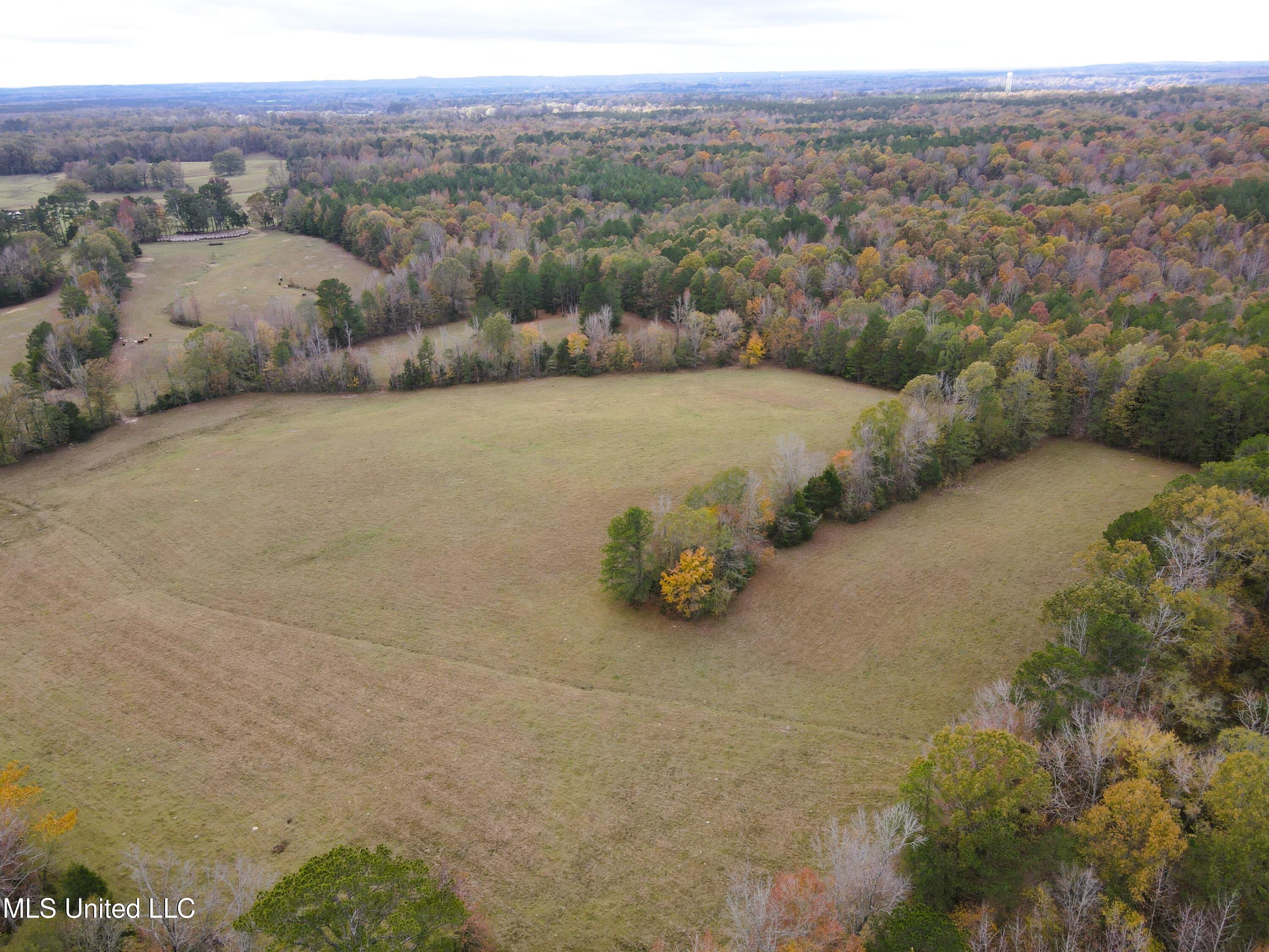 Tbd Cr 145, Bruce, Mississippi image 23