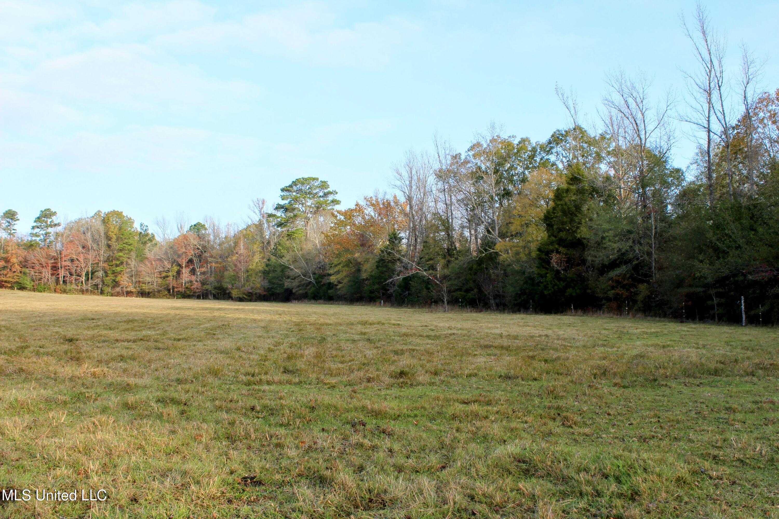 Tbd Cr 145, Bruce, Mississippi image 9