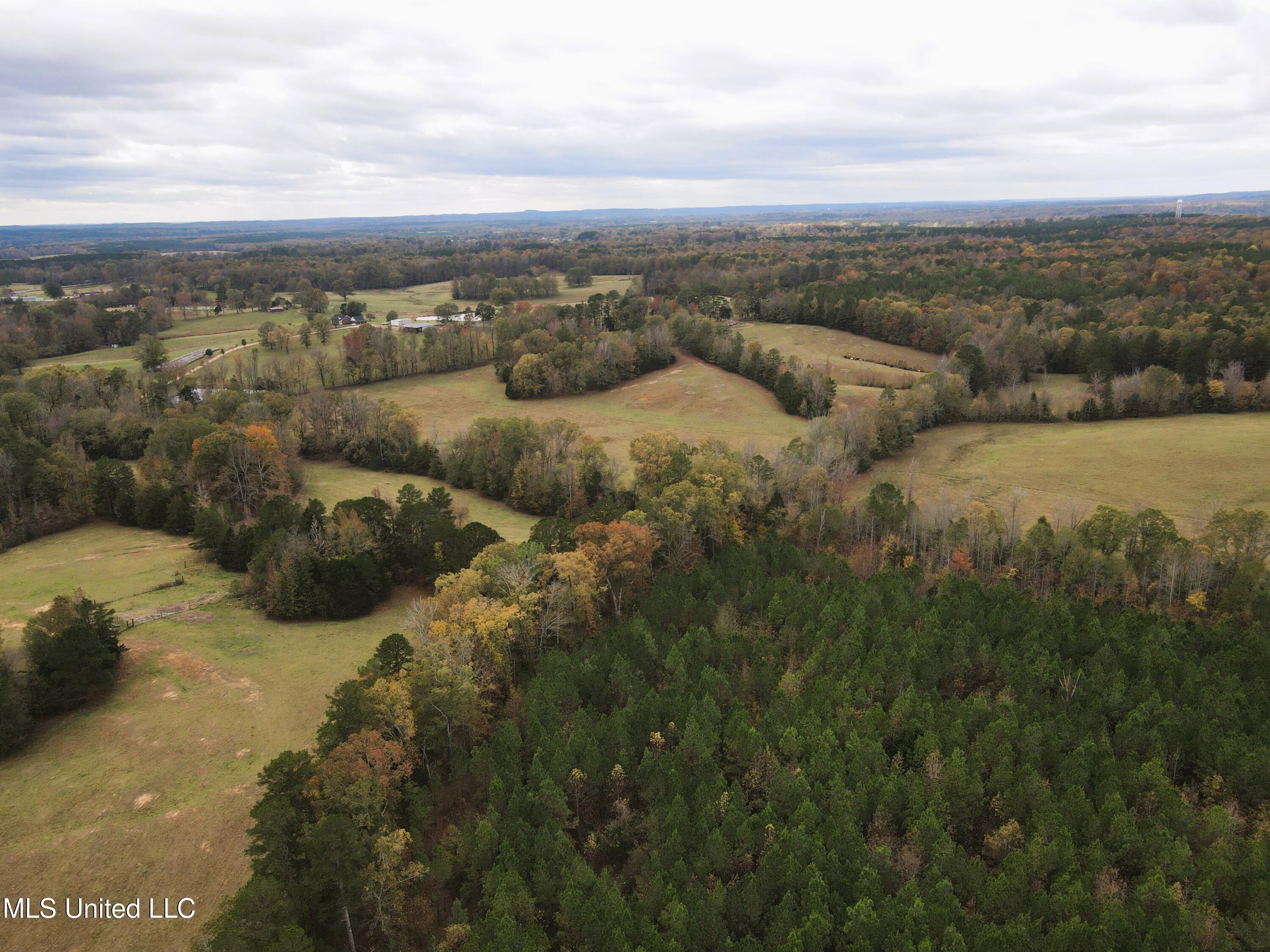 Tbd Cr 145, Bruce, Mississippi image 22