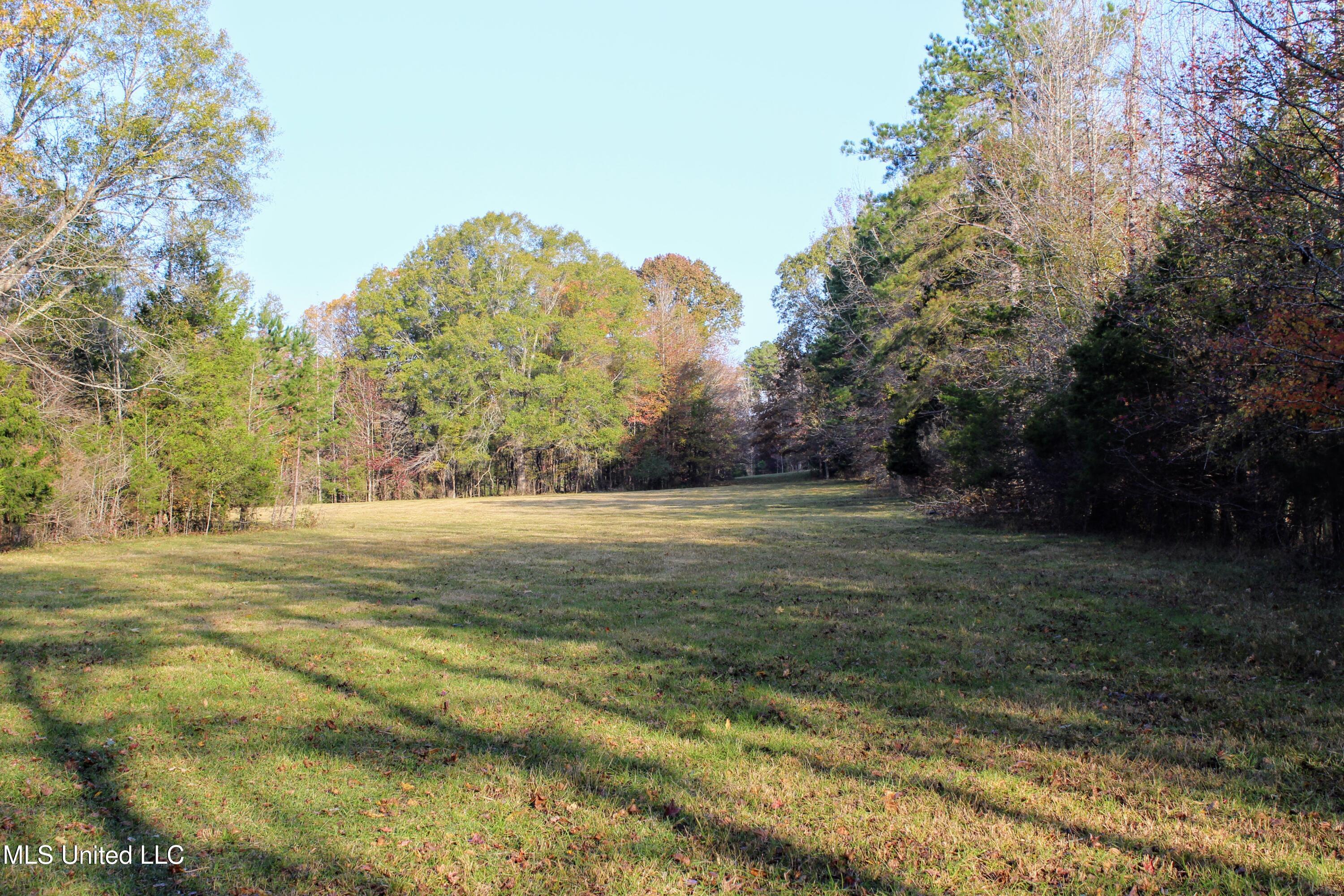 Tbd Cr 145, Bruce, Mississippi image 16