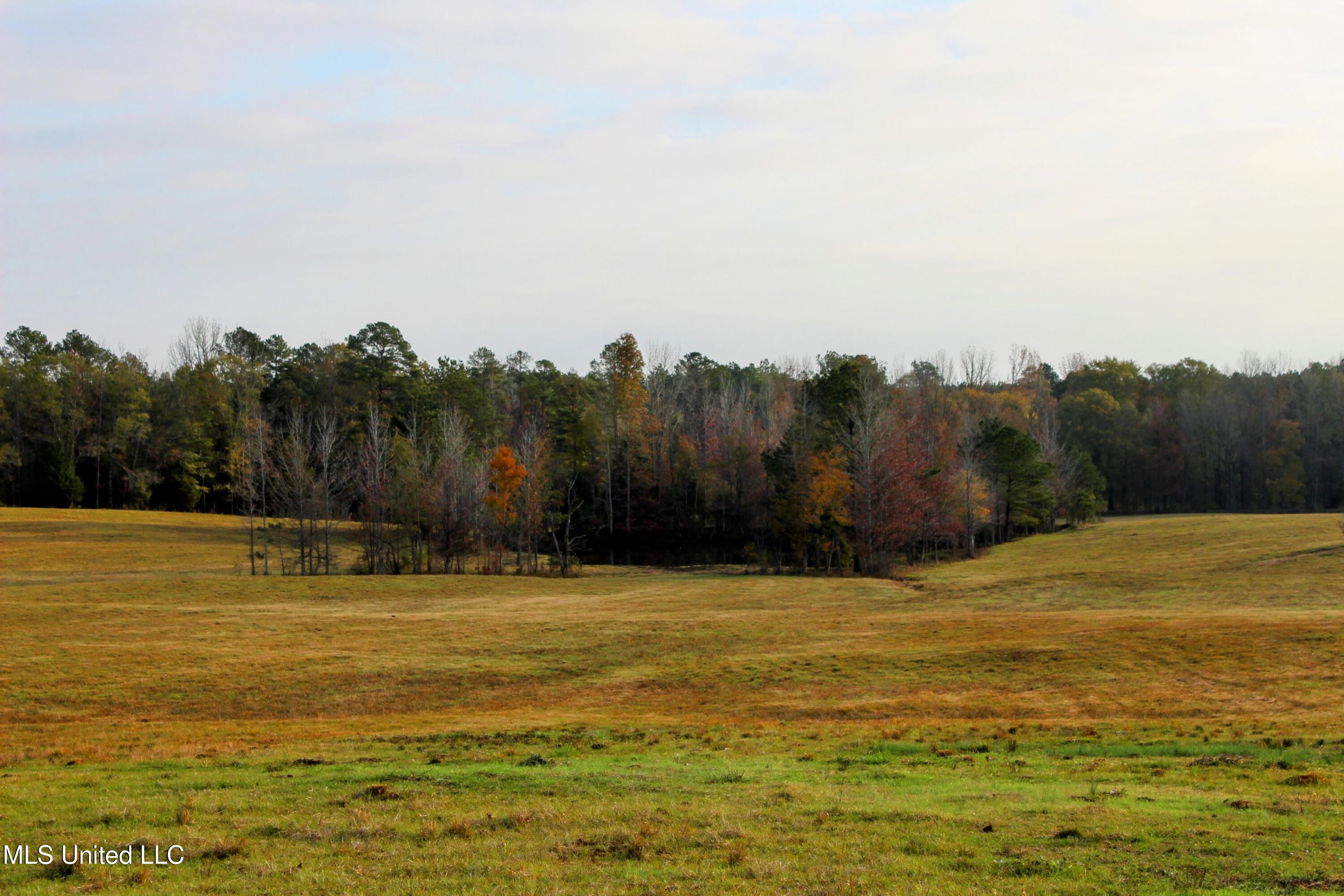 Tbd Cr 145, Bruce, Mississippi image 1