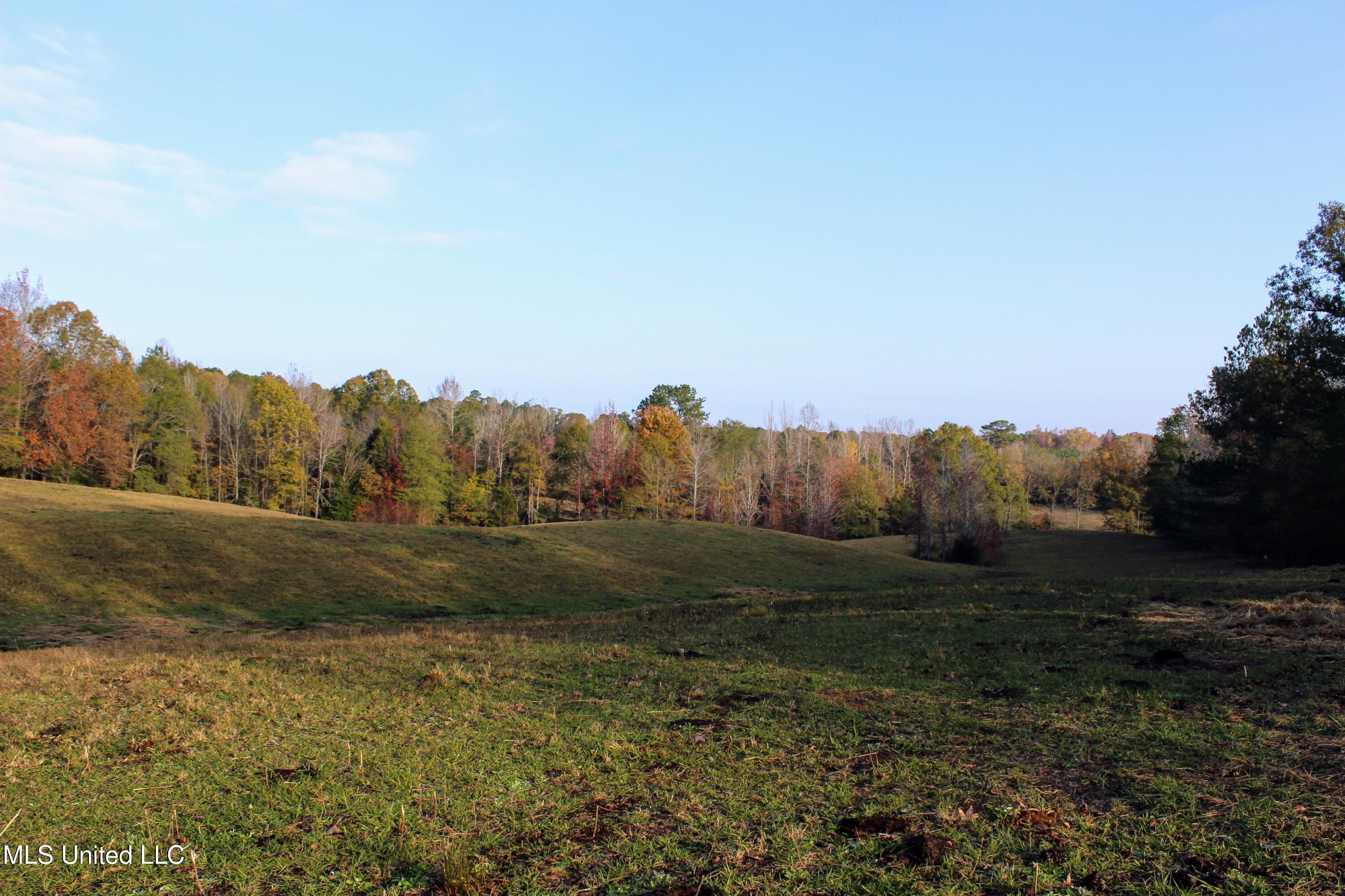 Tbd Cr 145, Bruce, Mississippi image 11