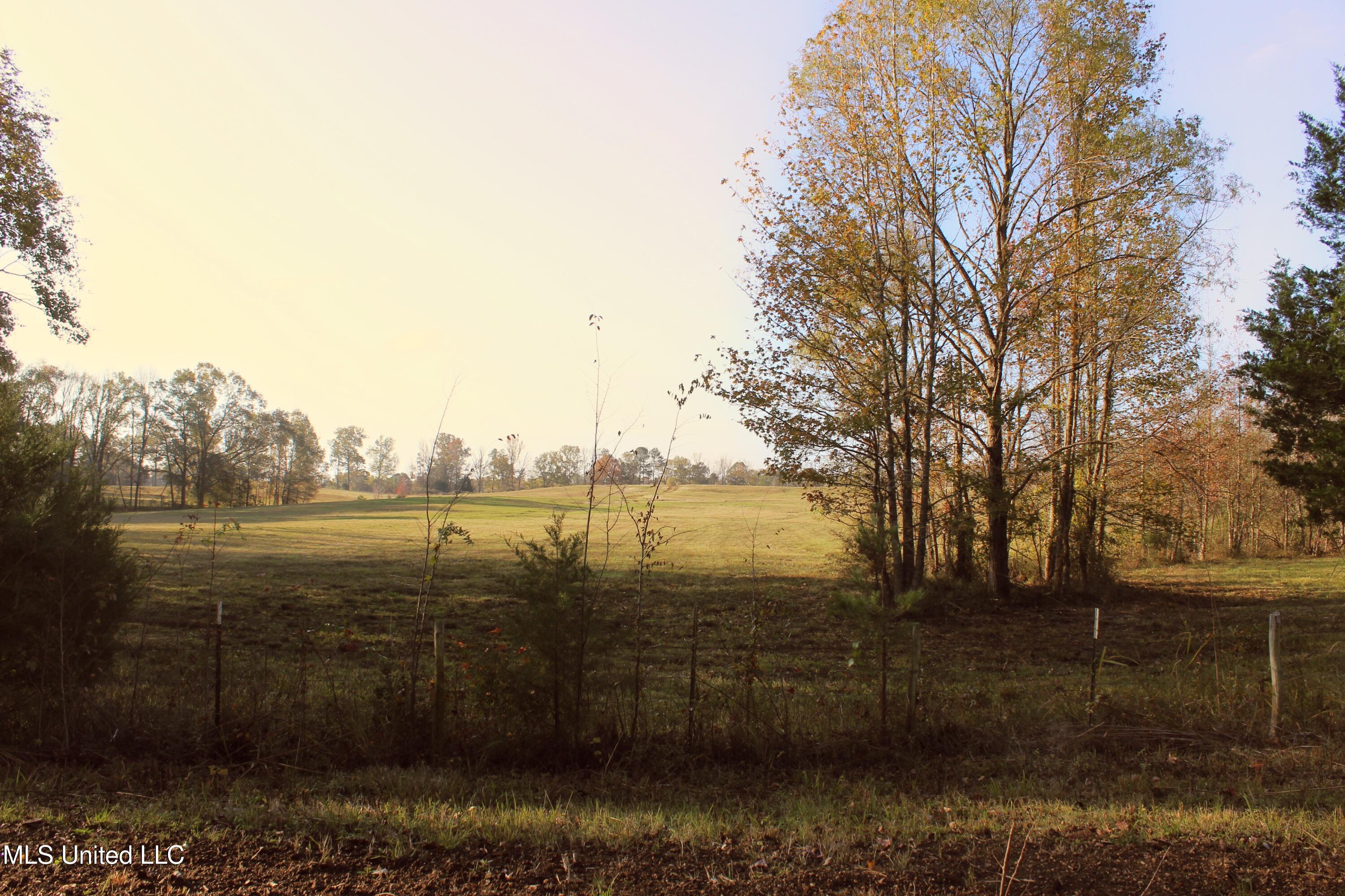 Tbd Cr 145, Bruce, Mississippi image 18