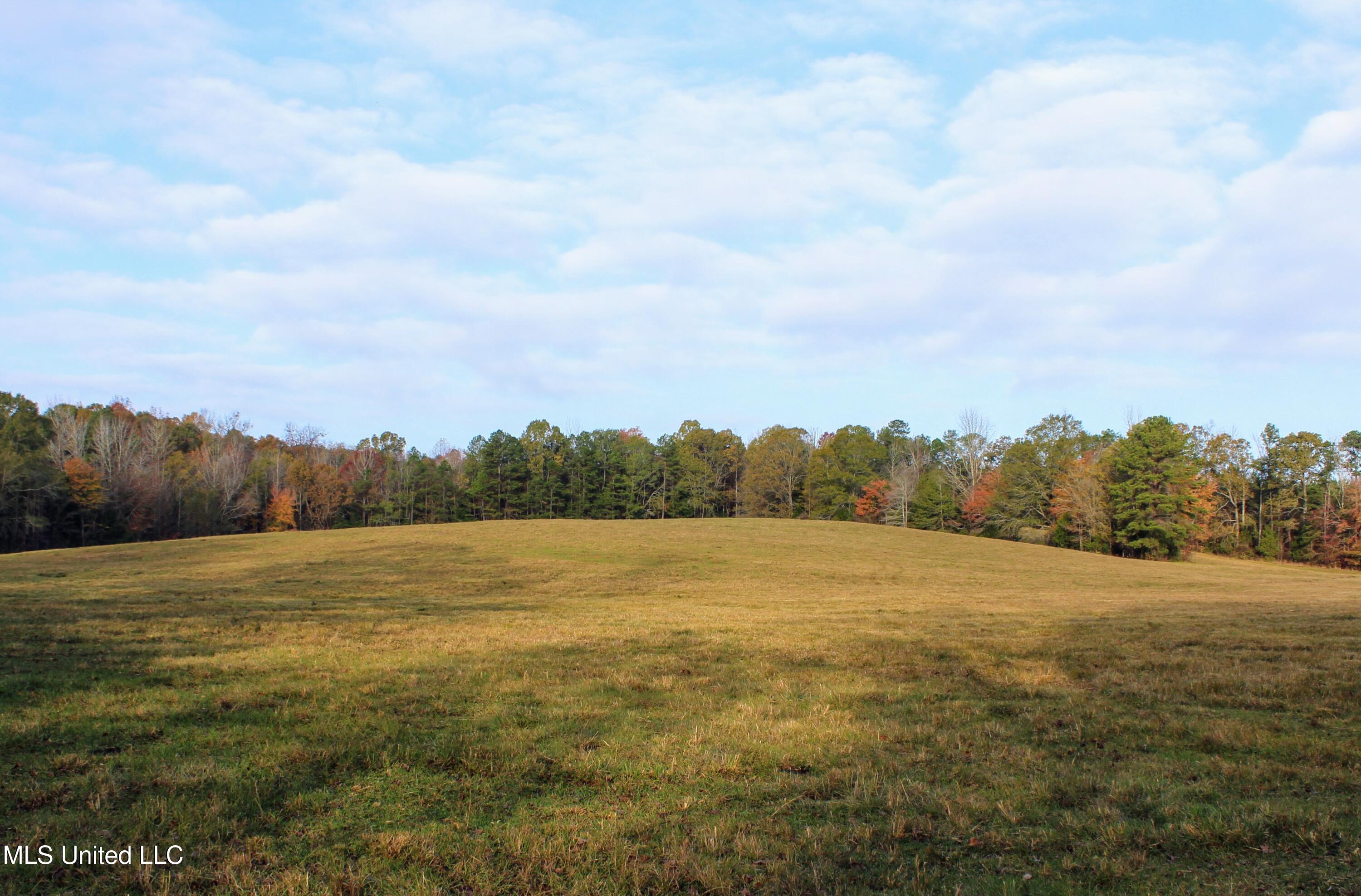 Tbd Cr 145, Bruce, Mississippi image 7