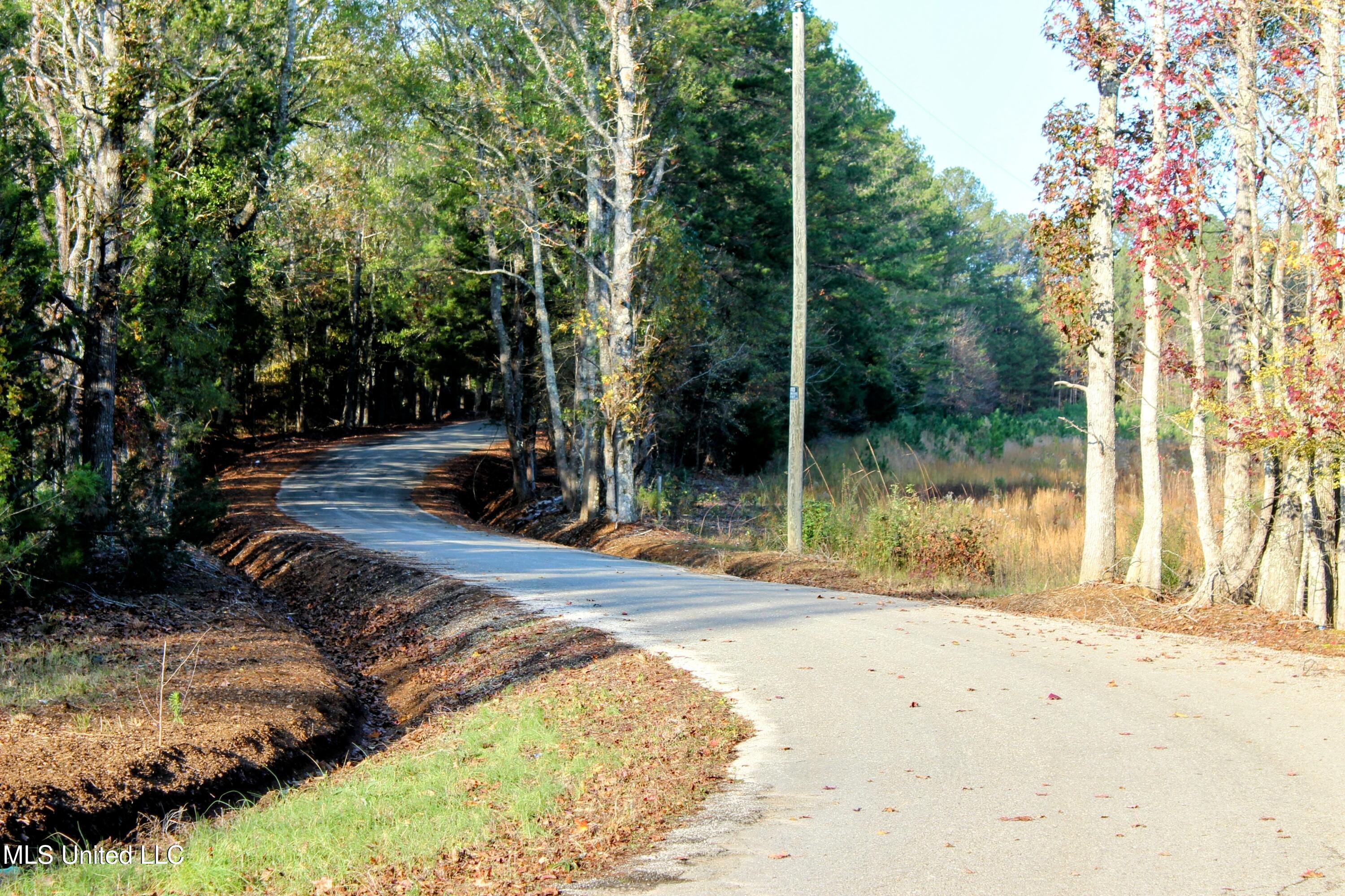 Tbd Cr 145, Bruce, Mississippi image 6