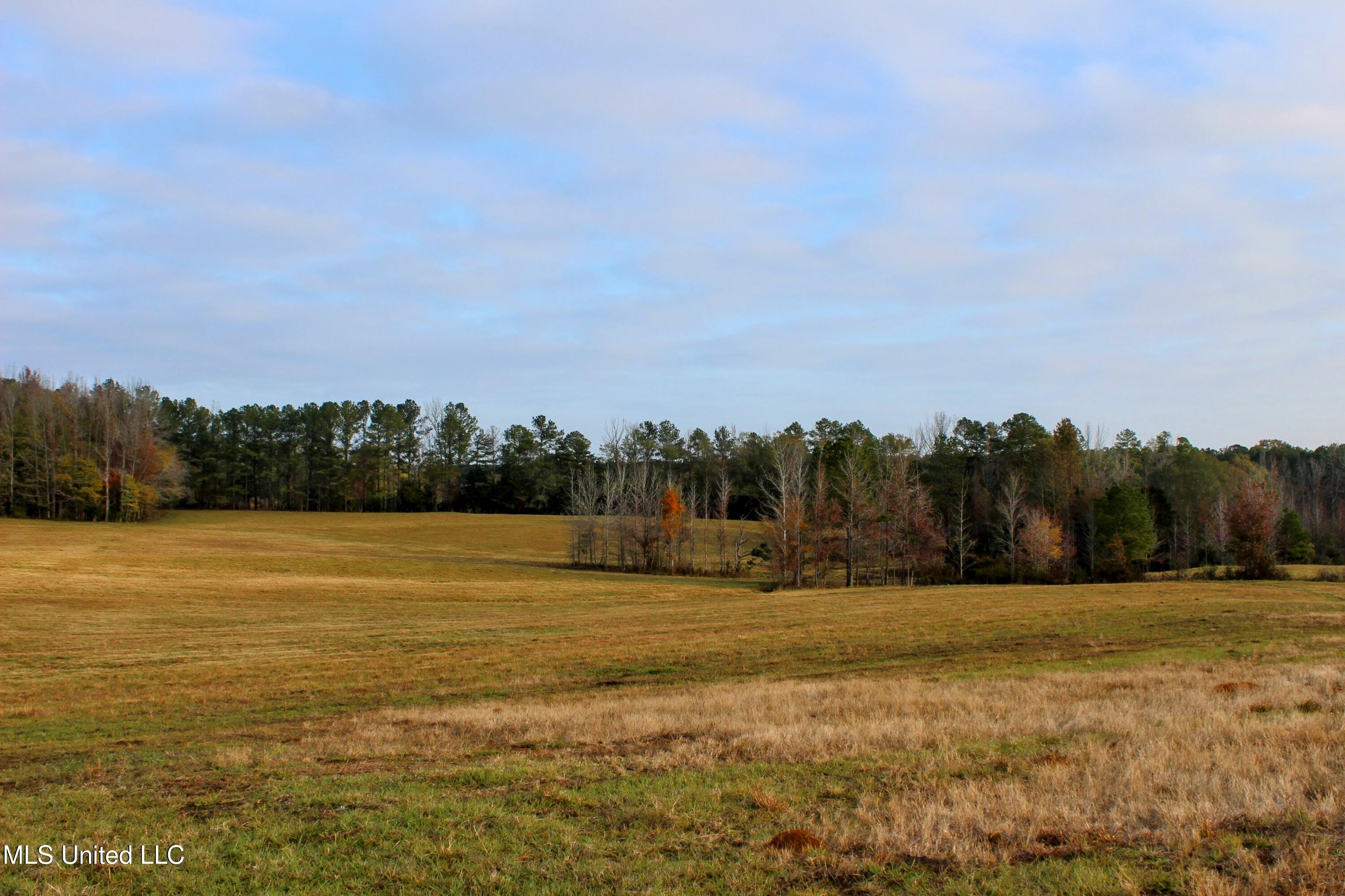 Tbd Cr 145, Bruce, Mississippi image 12