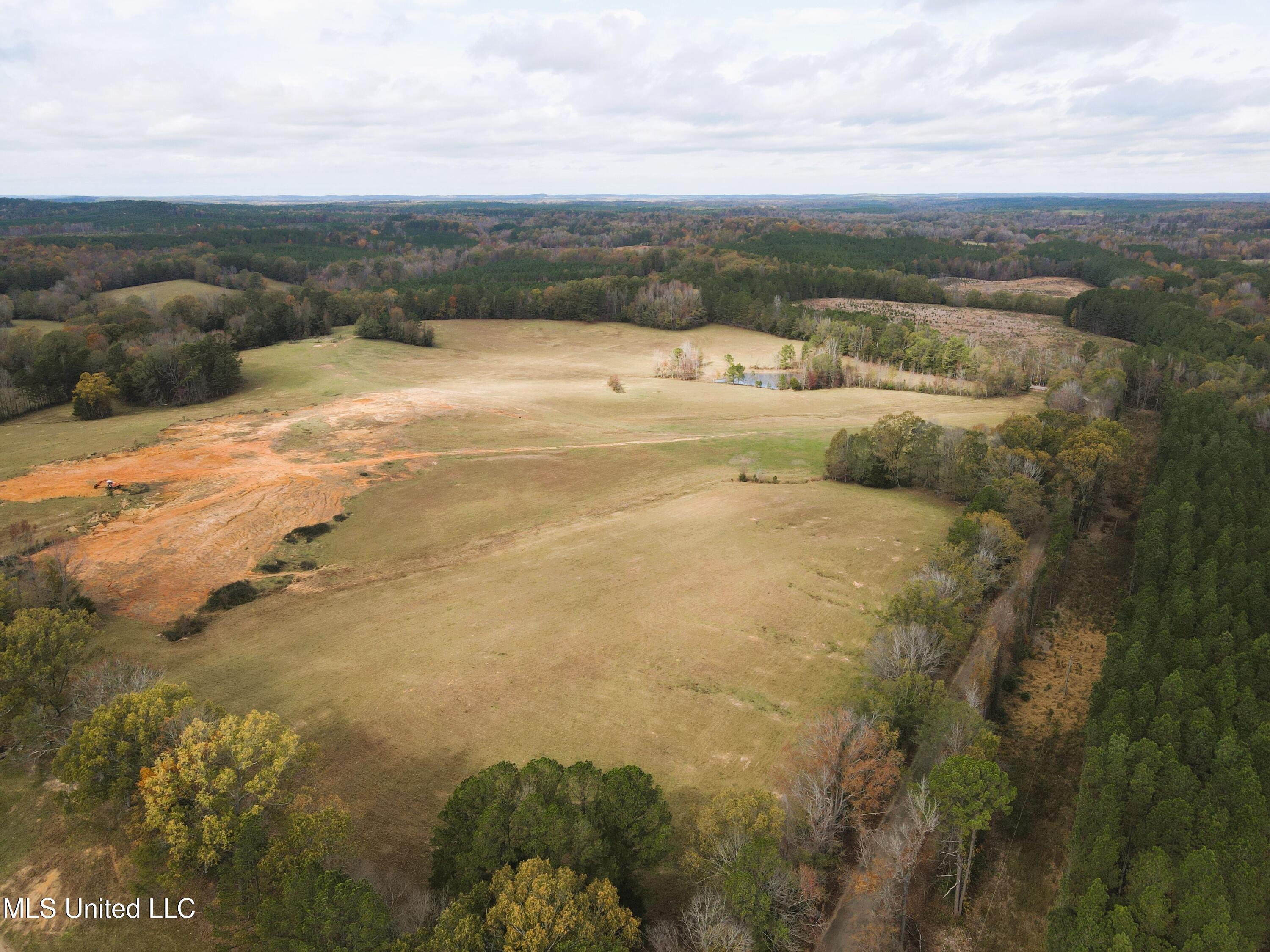 Tbd Cr 145, Bruce, Mississippi image 20