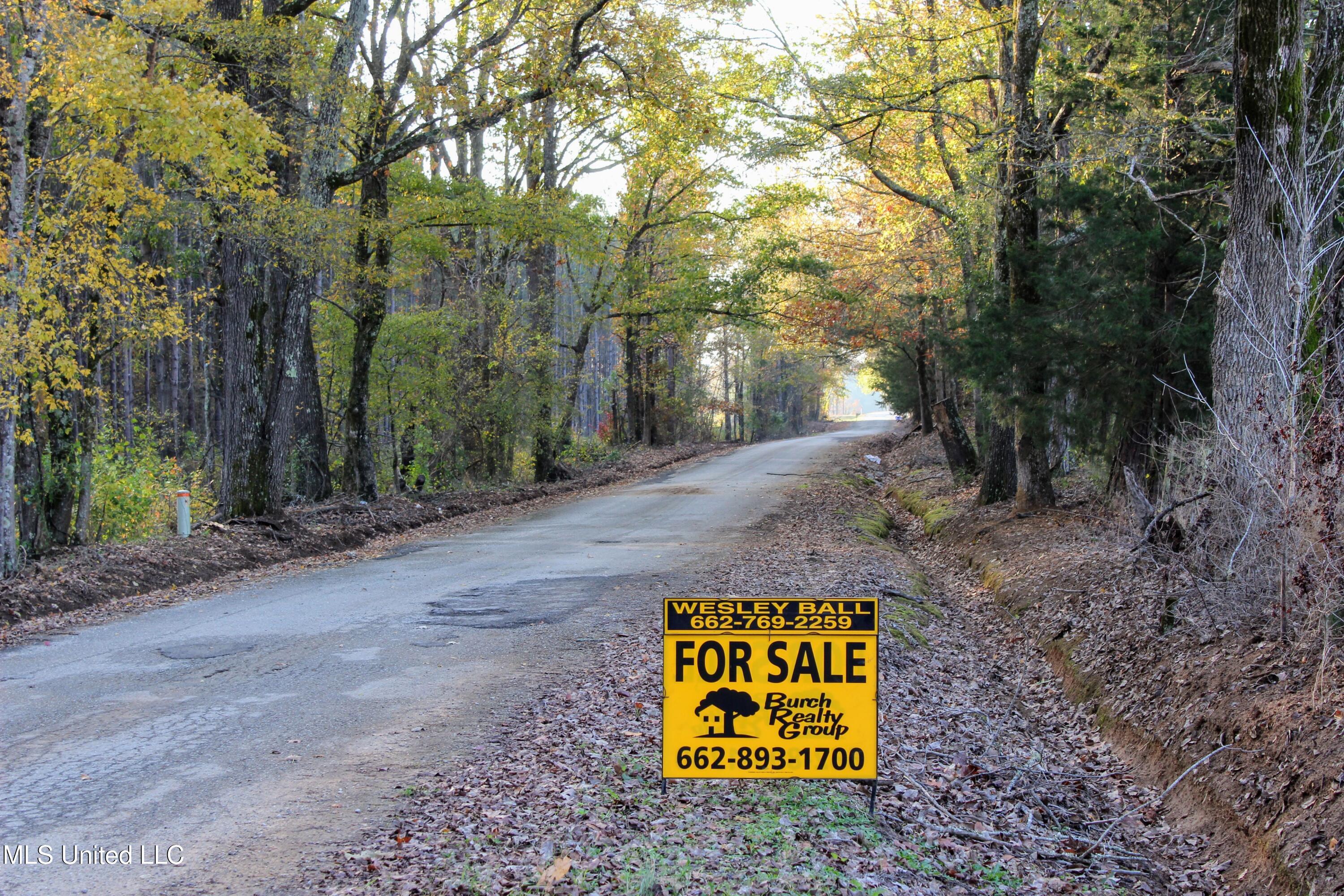 Tbd Cr 145, Bruce, Mississippi image 8