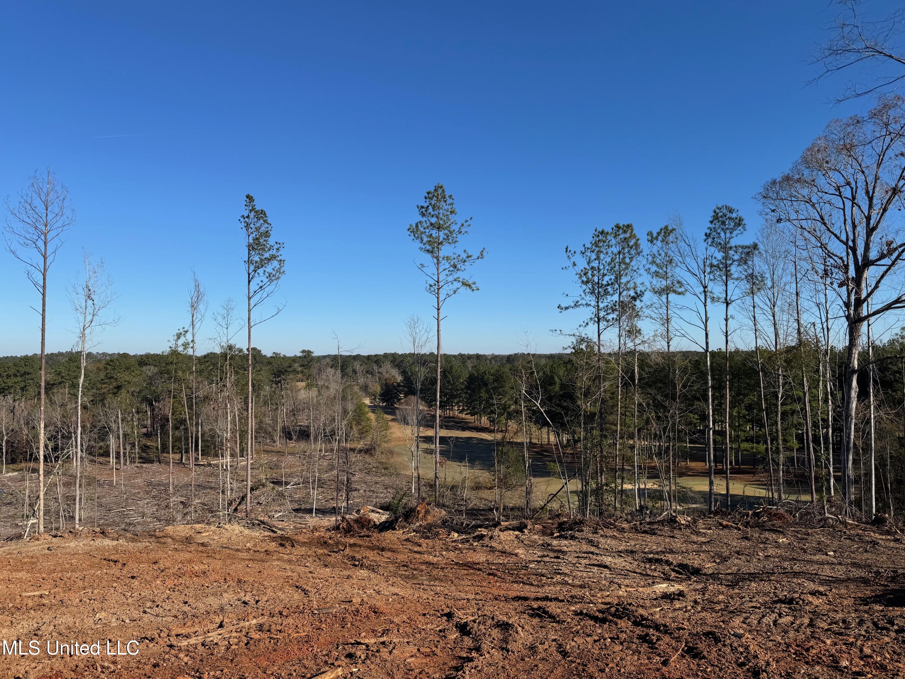 County Rd 110, Quitman, Mississippi image 13