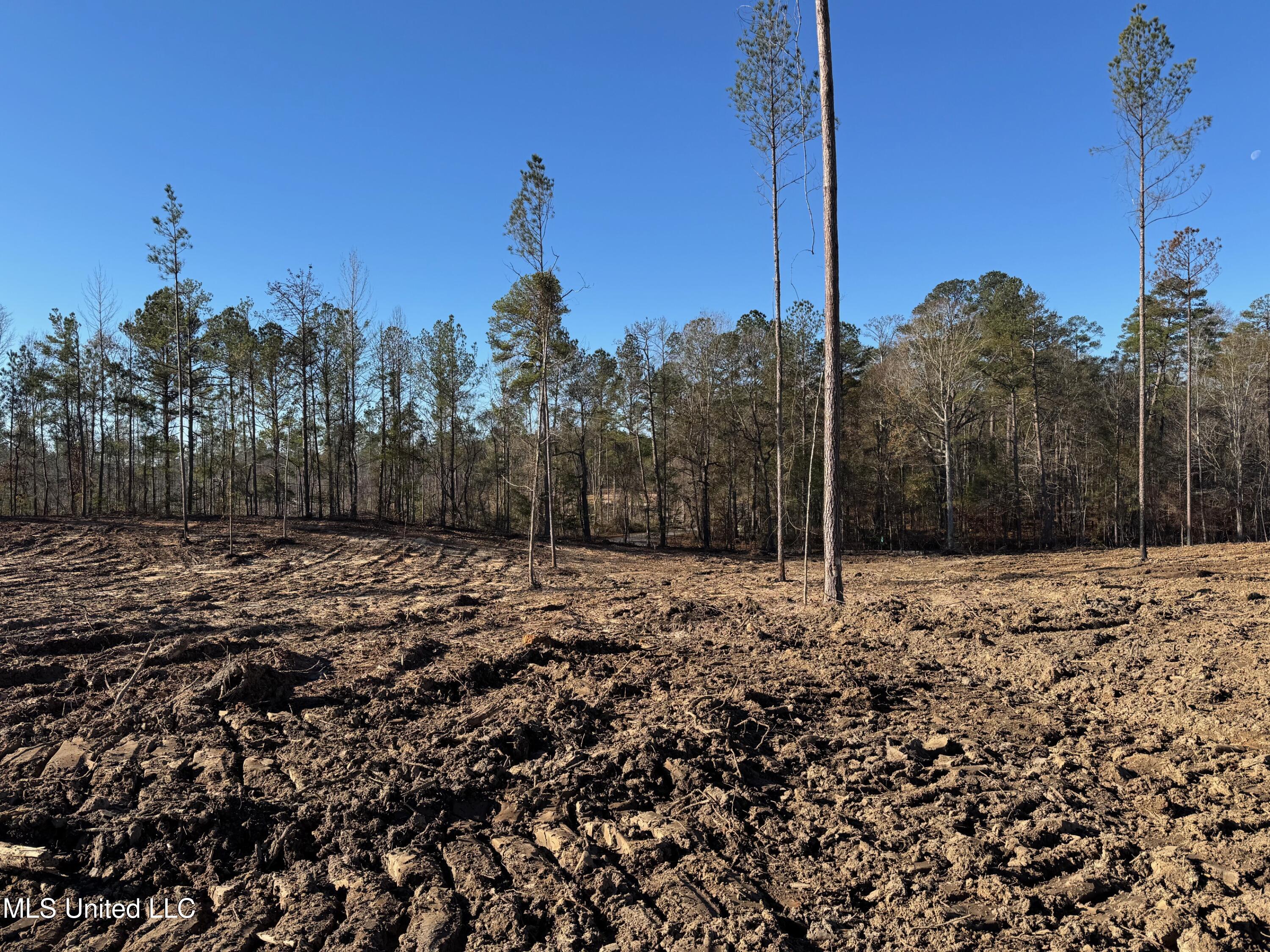 County Rd 110, Quitman, Mississippi image 8