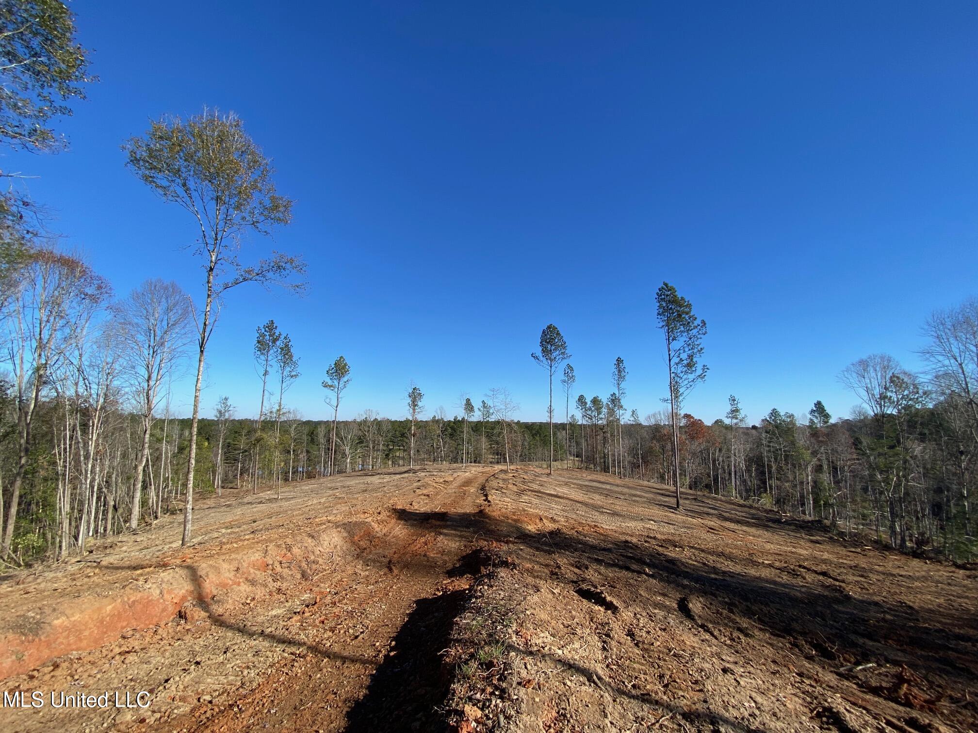 County Rd 110, Quitman, Mississippi image 10