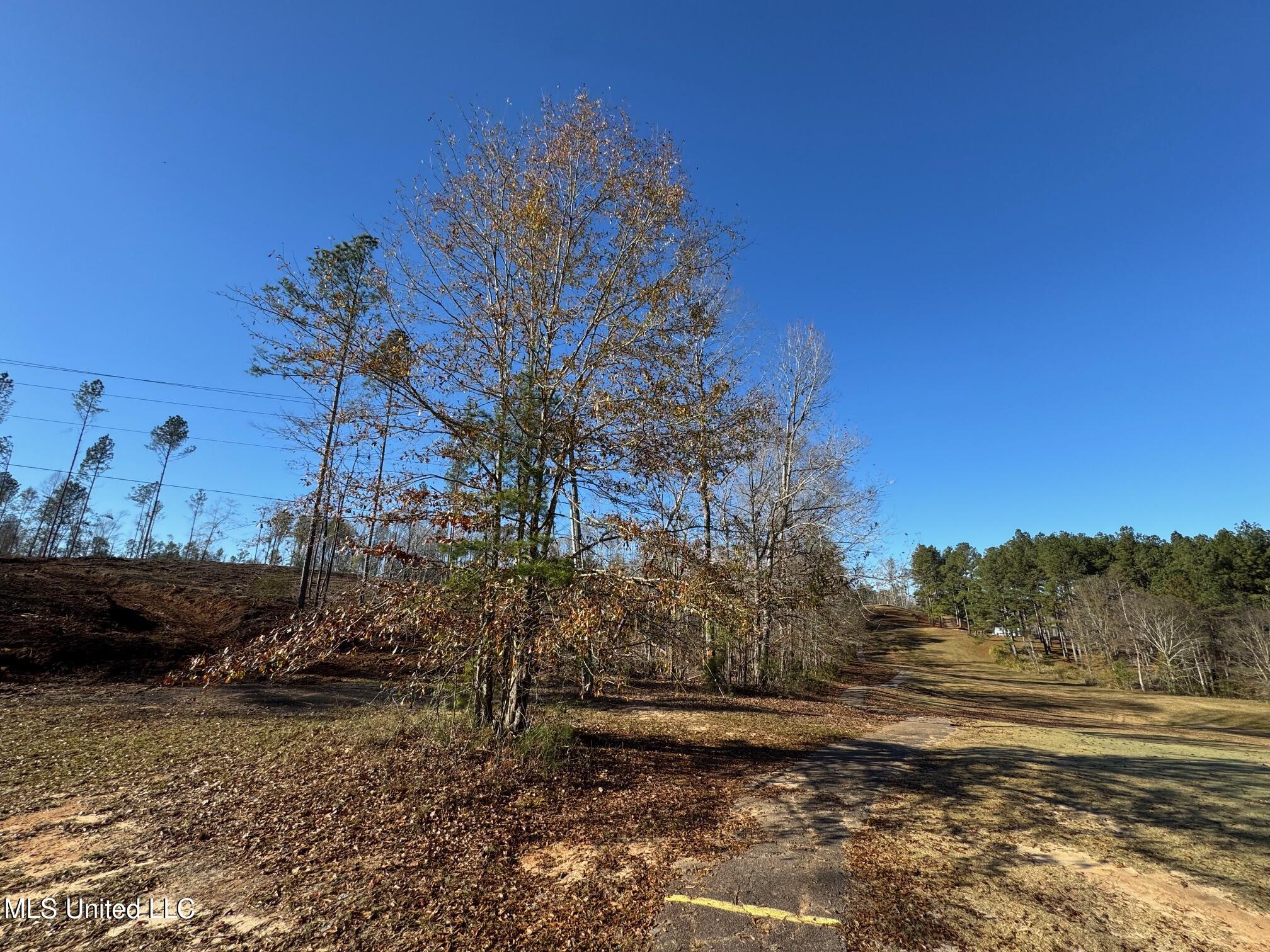 County Rd 110, Quitman, Mississippi image 14