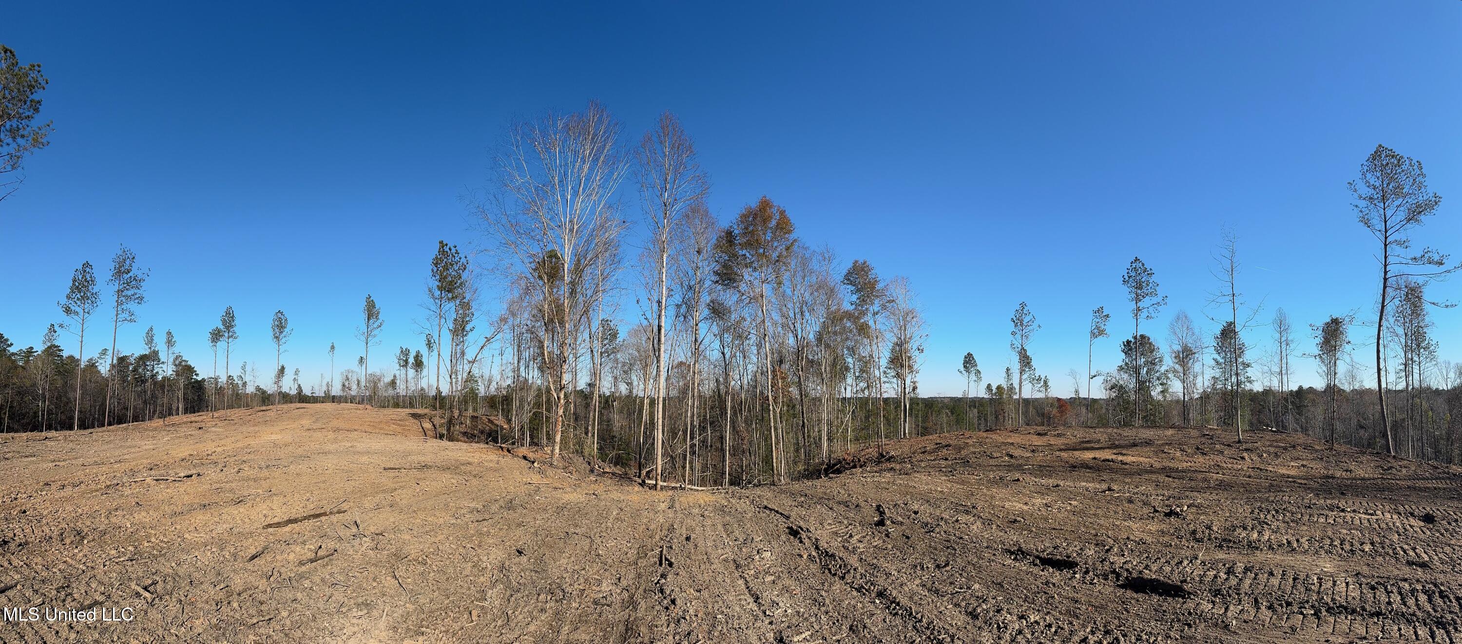 County Rd 110, Quitman, Mississippi image 7