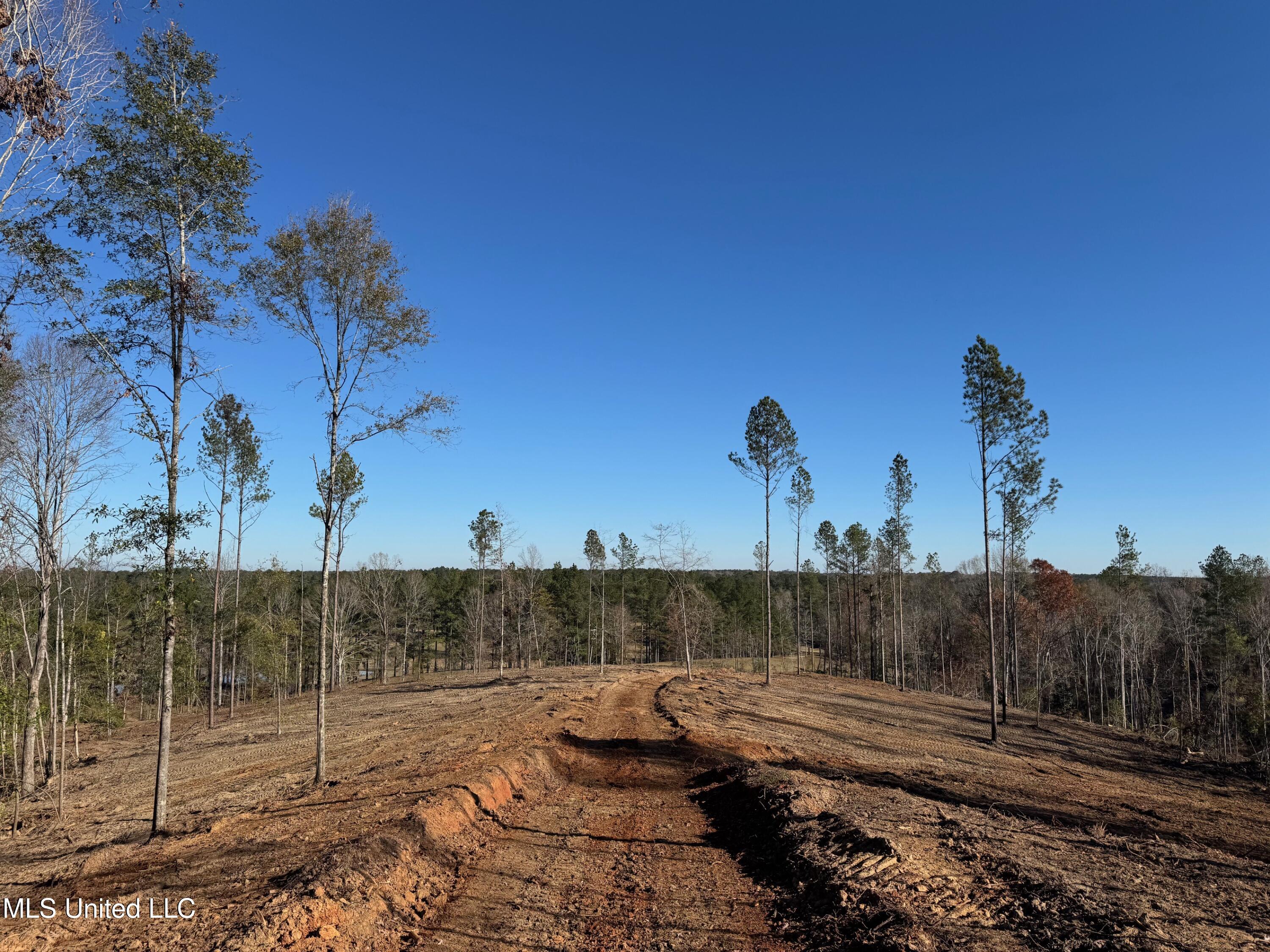 County Rd 110, Quitman, Mississippi image 9