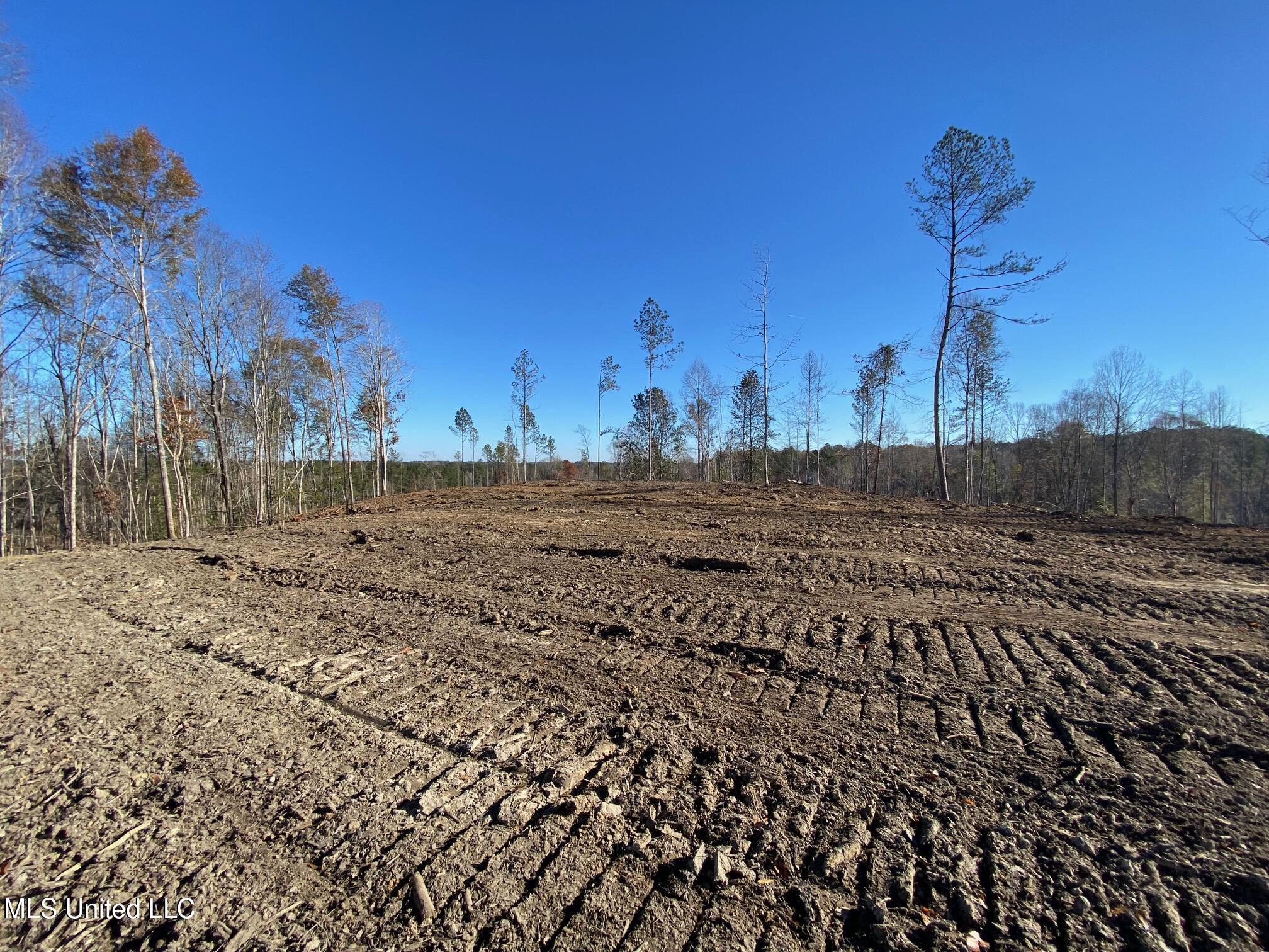 County Rd 110, Quitman, Mississippi image 6