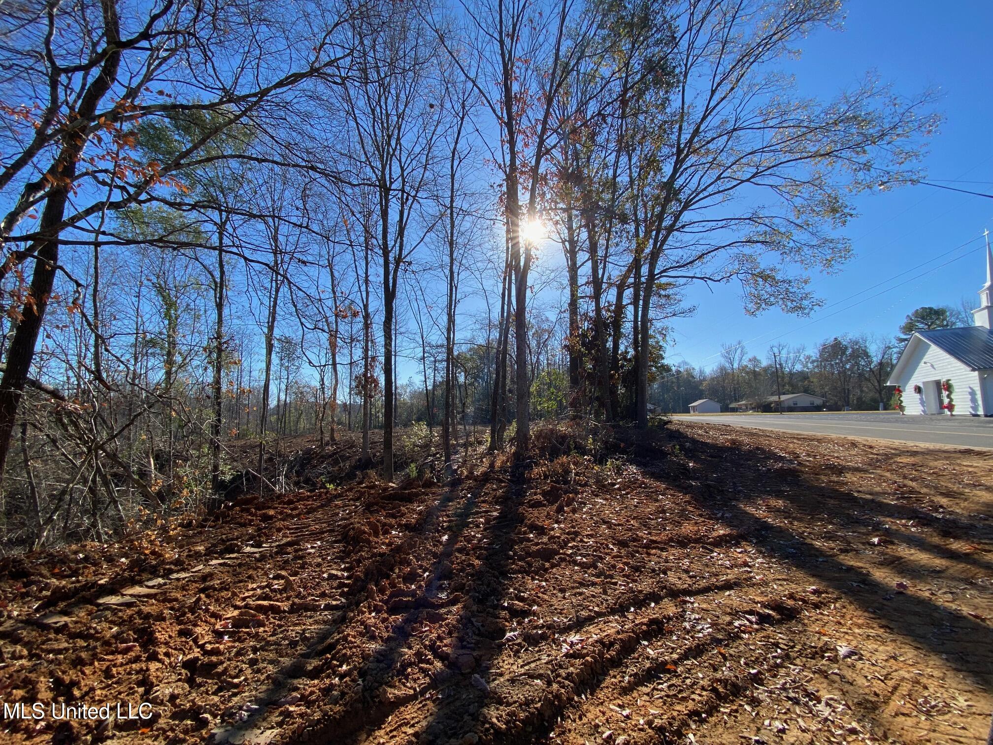 County Rd 110, Quitman, Mississippi image 20