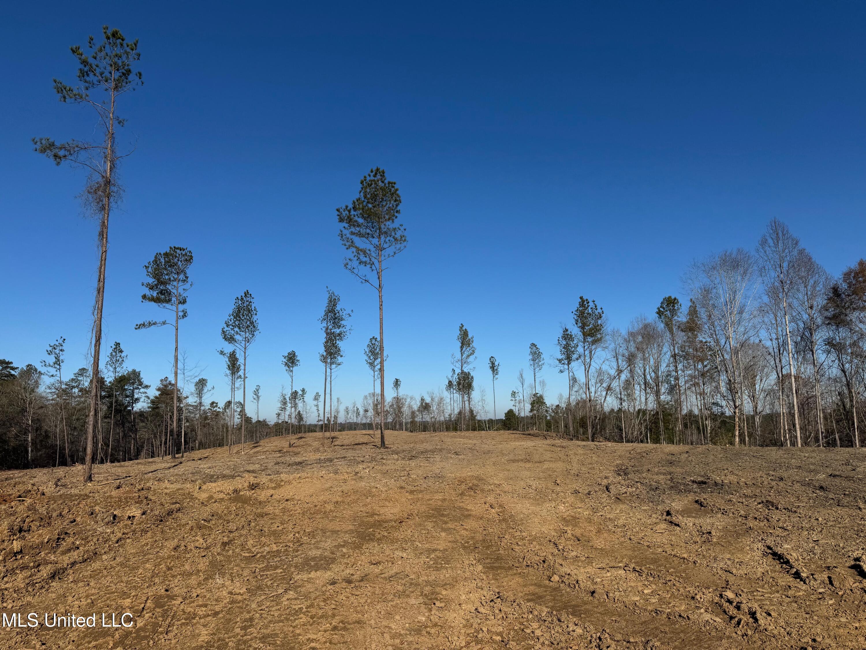 County Rd 110, Quitman, Mississippi image 4