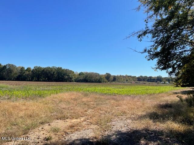 Rowell Road, Coldwater, Mississippi image 1