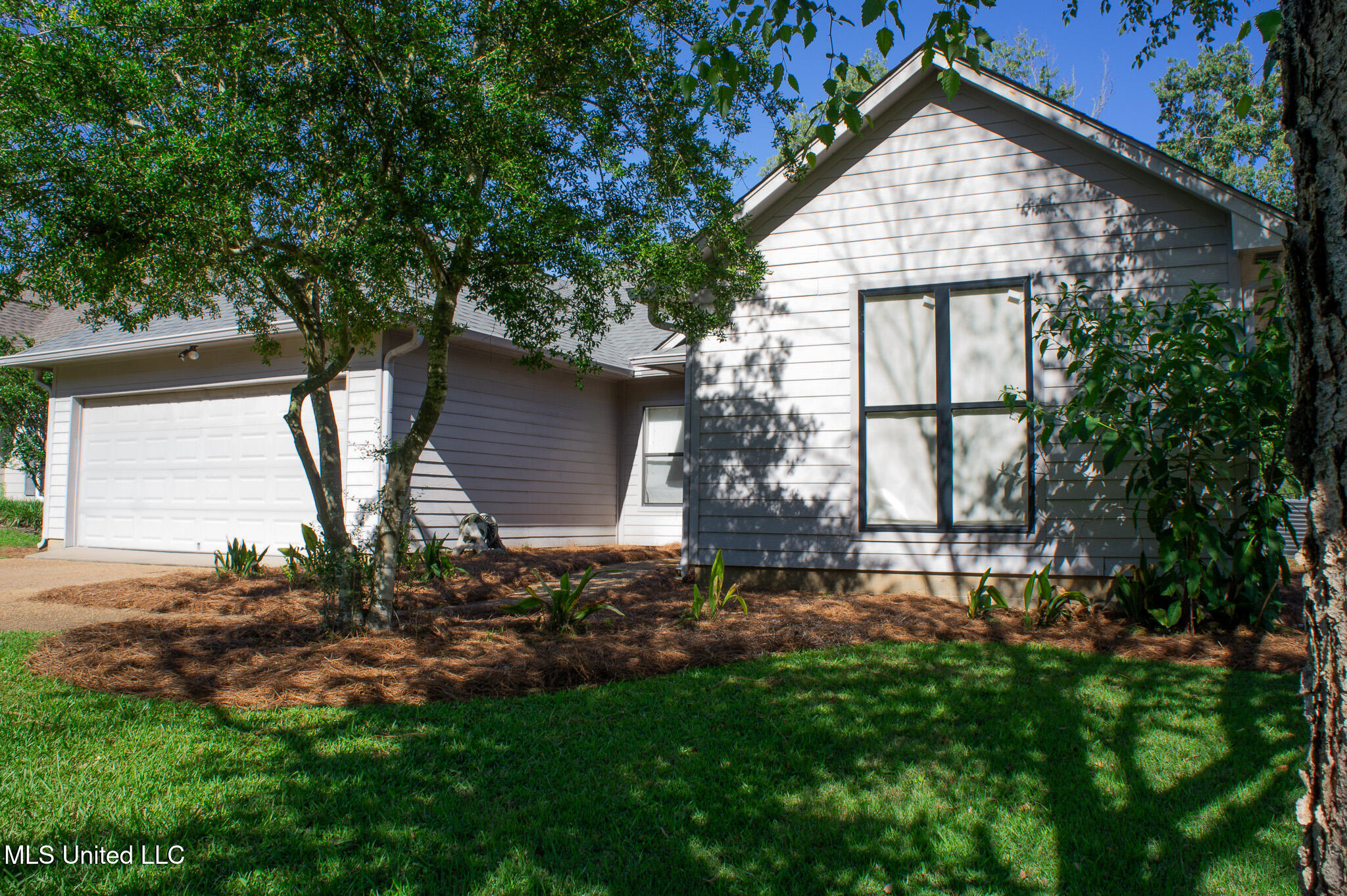 414 Spike Ridge, Canton, Mississippi image 5