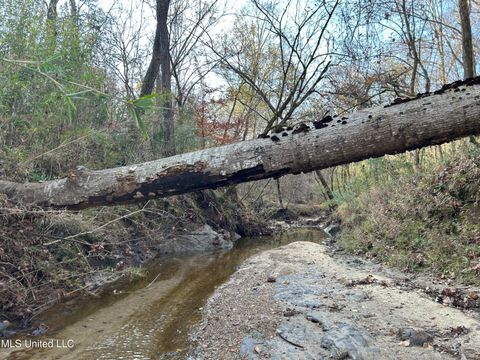 Vacant Land For Sale - Henderson Road<br/> Bentonia, MS 39040