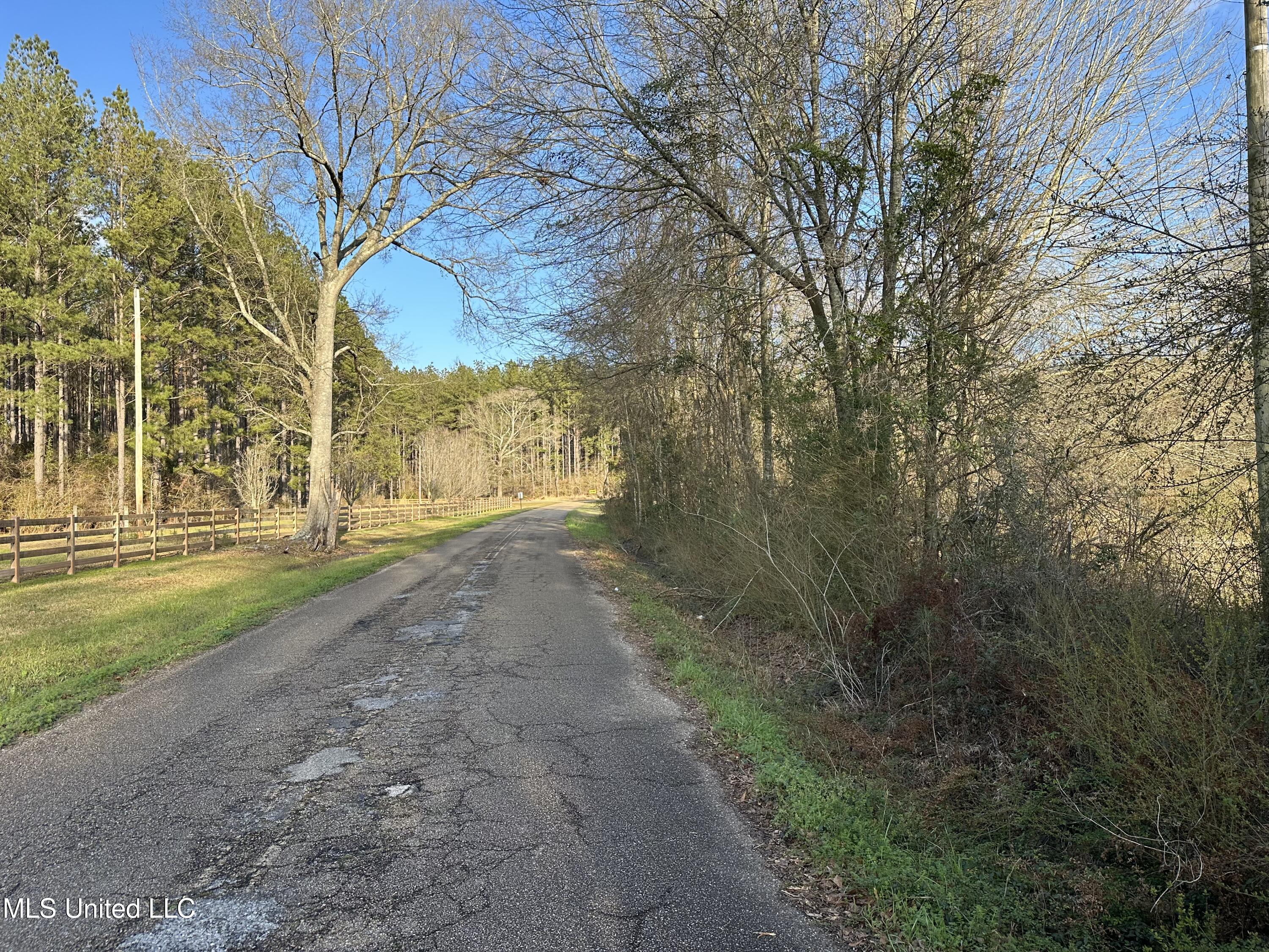 John Amacker Road, Poplarville, Mississippi image 12
