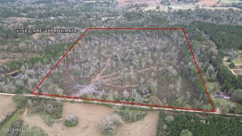 Vacant Land For Sale - 1191 Emma Kelly Road<br/> Pike County, Magnolia, MS 39652