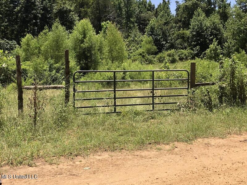 Helm Rd, Pickens, Mississippi image 8