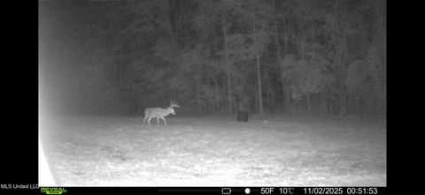 Vacant Land For Sale - Morton-rankin County Line Road<br/> Scott County, Morton, MS 39117