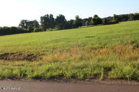 Vacant Land For Sale - 24 Chapel Hill Subdivision<br/> Marshall County, Holly Springs, MS 38635