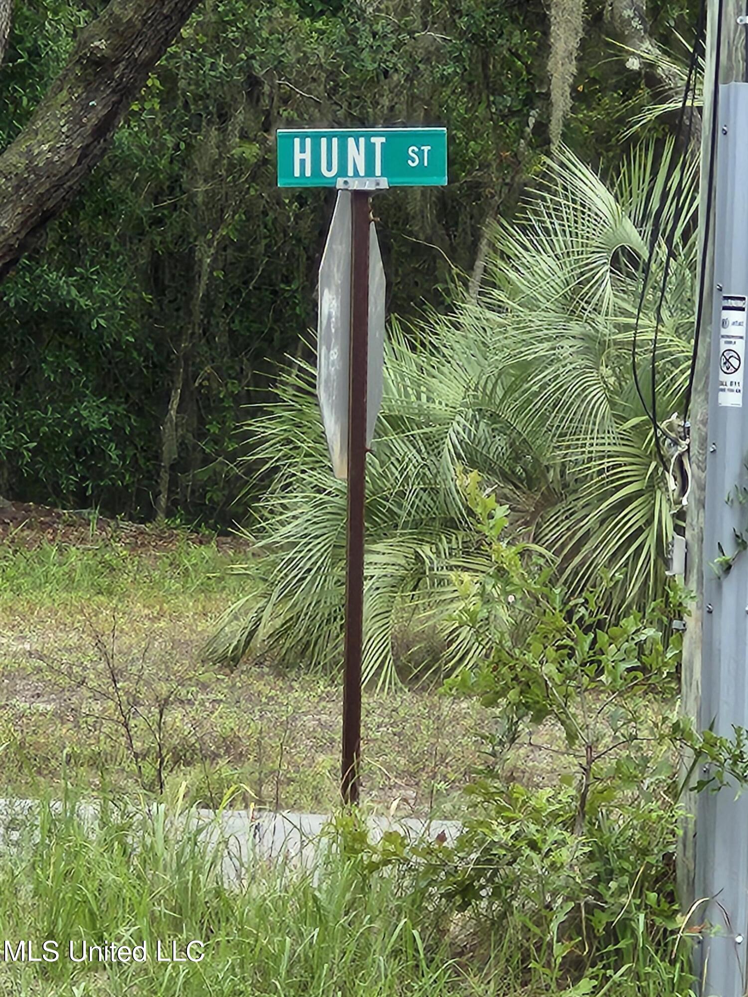 Hunt, Ocean Springs, Mississippi image 2