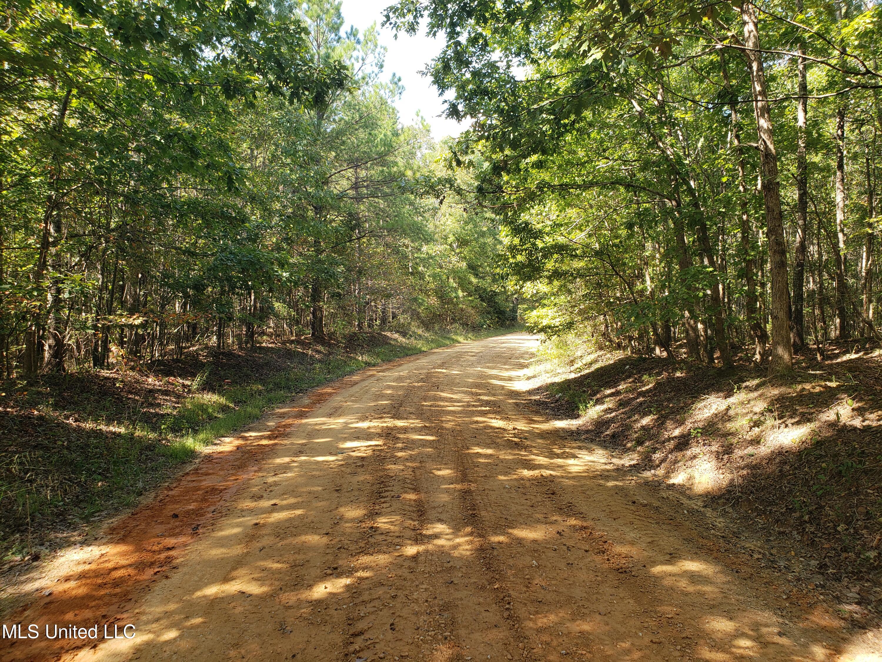 Cr 414, Falkner, Mississippi image 6