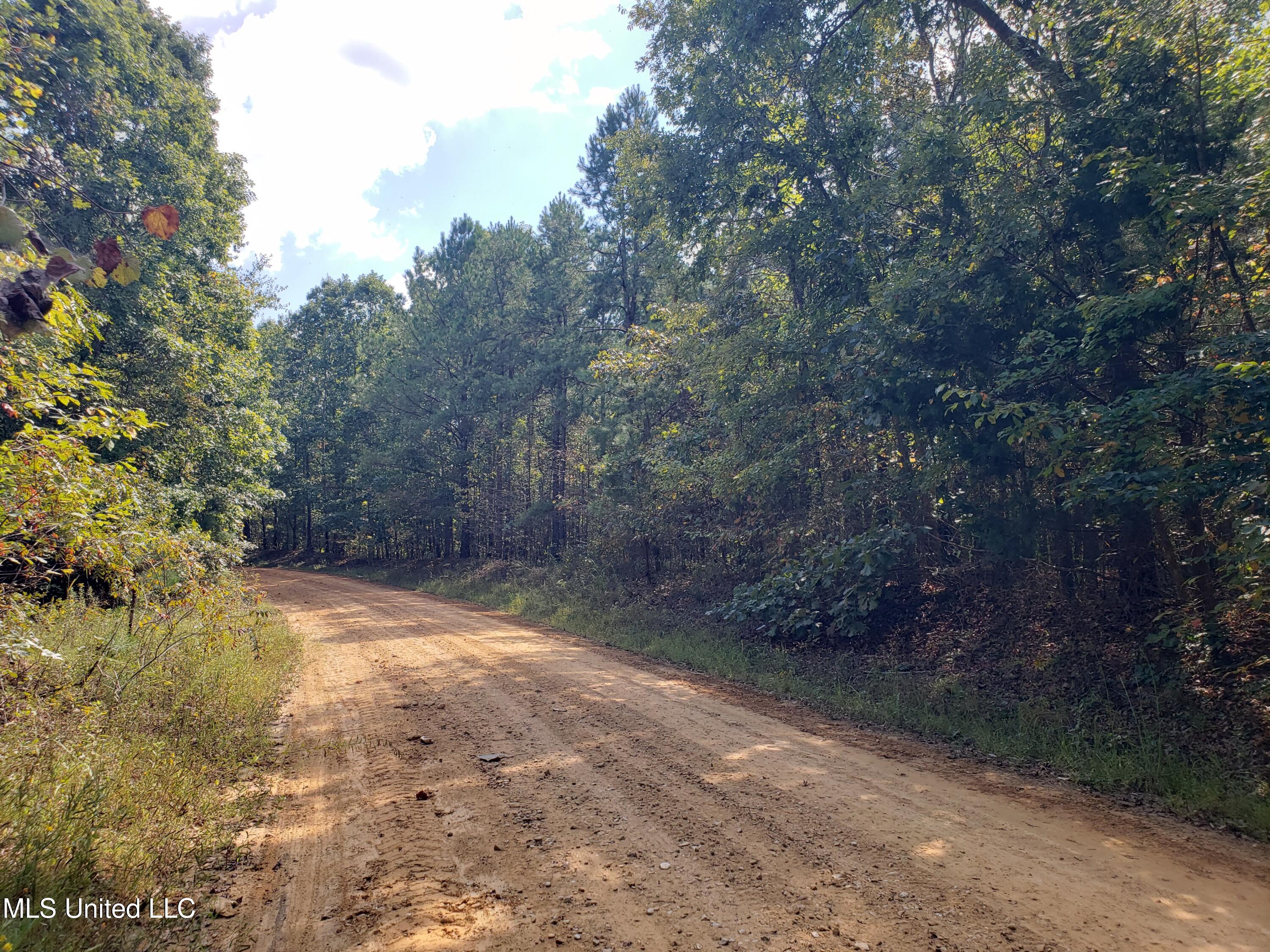 Cr 414, Falkner, Mississippi image 14