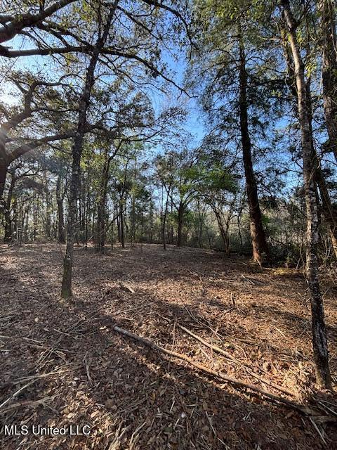 11900 Johns Bayou Road, Vancleave, Mississippi image 17