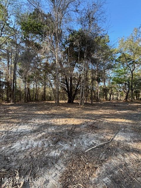 11900 Johns Bayou Road, Vancleave, Mississippi image 5