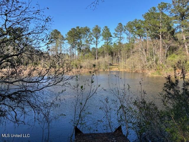 11900 Johns Bayou Road, Vancleave, Mississippi image 11
